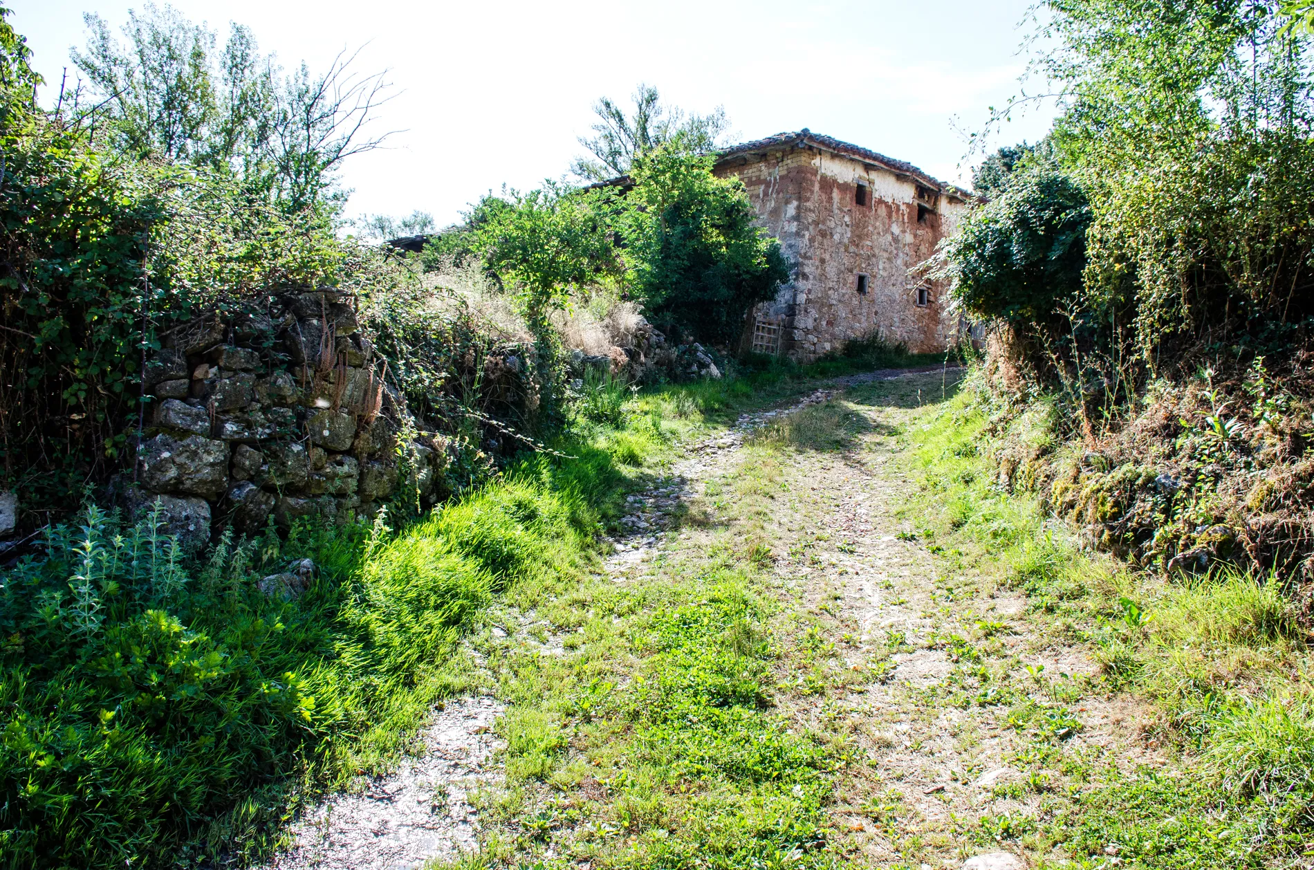 Photo showing: Calle en Albacastro. España.