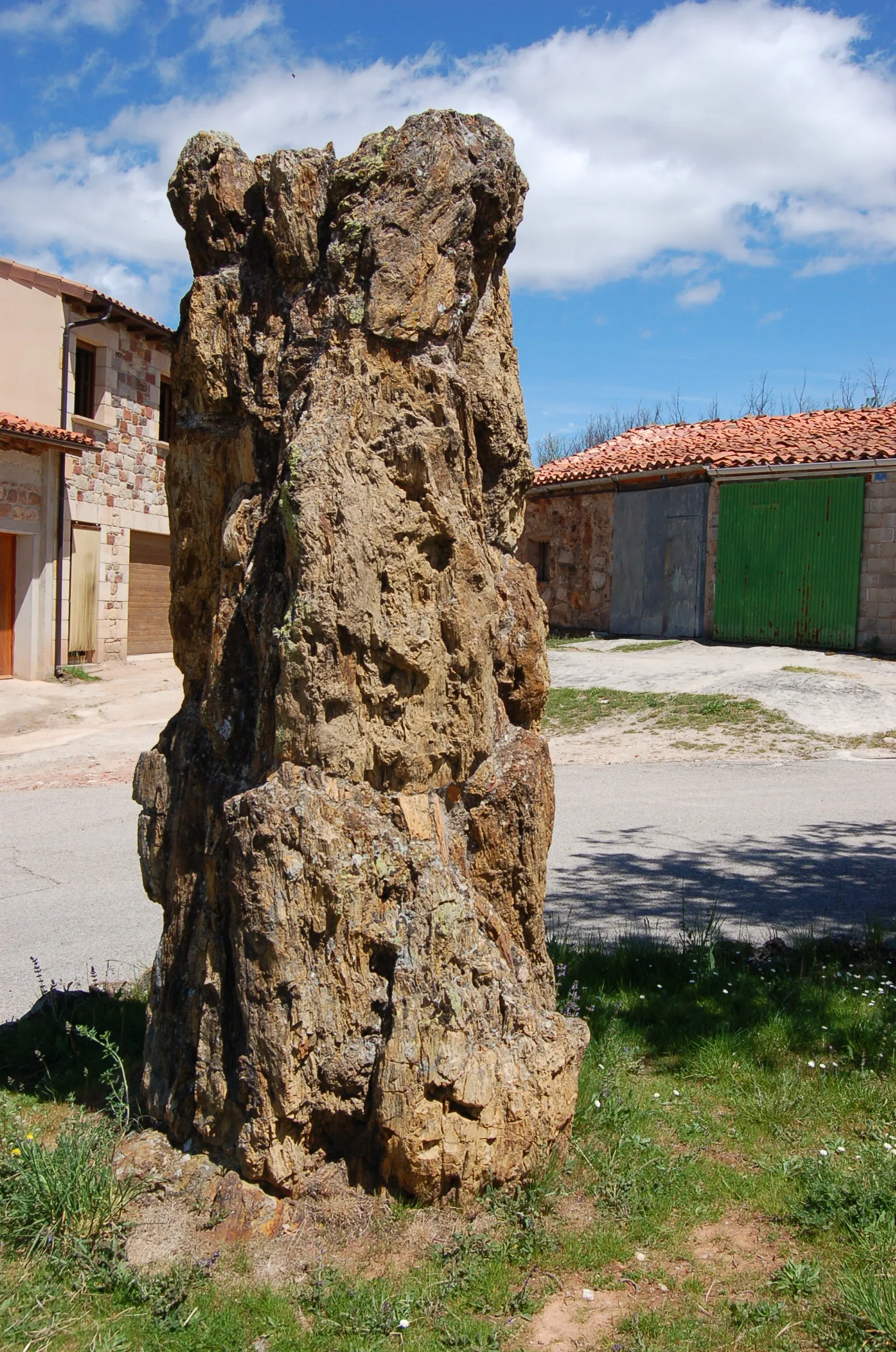 Photo showing: Árbore fósil en Hacinas