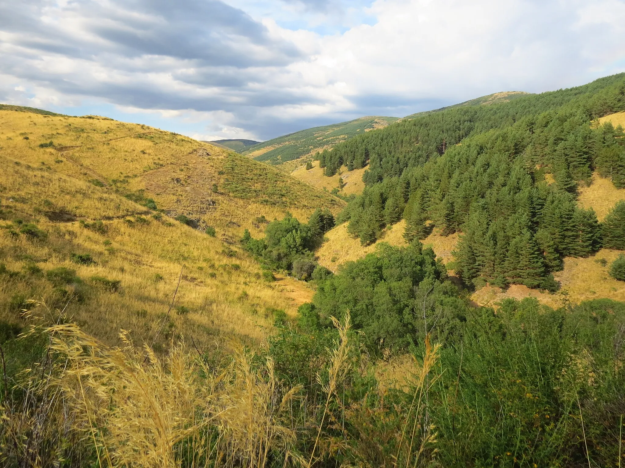 Photo showing: This is a photography of a Special Area of Conservation in Spain with the ID: