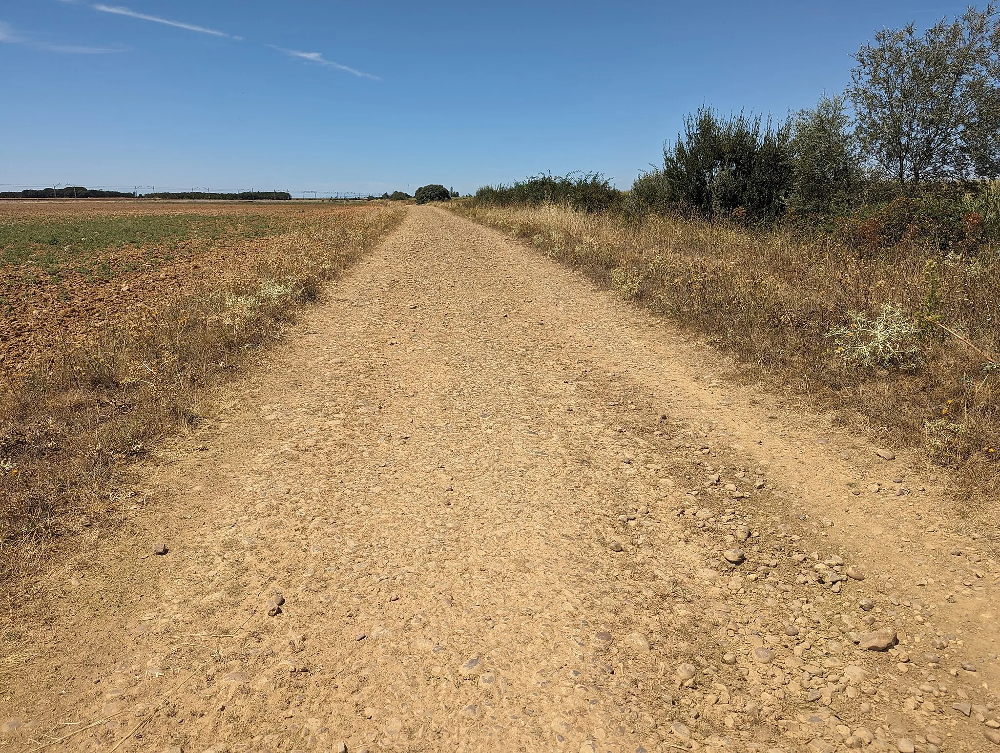 Photo showing: Calzada romana en Villamarco (León, España).