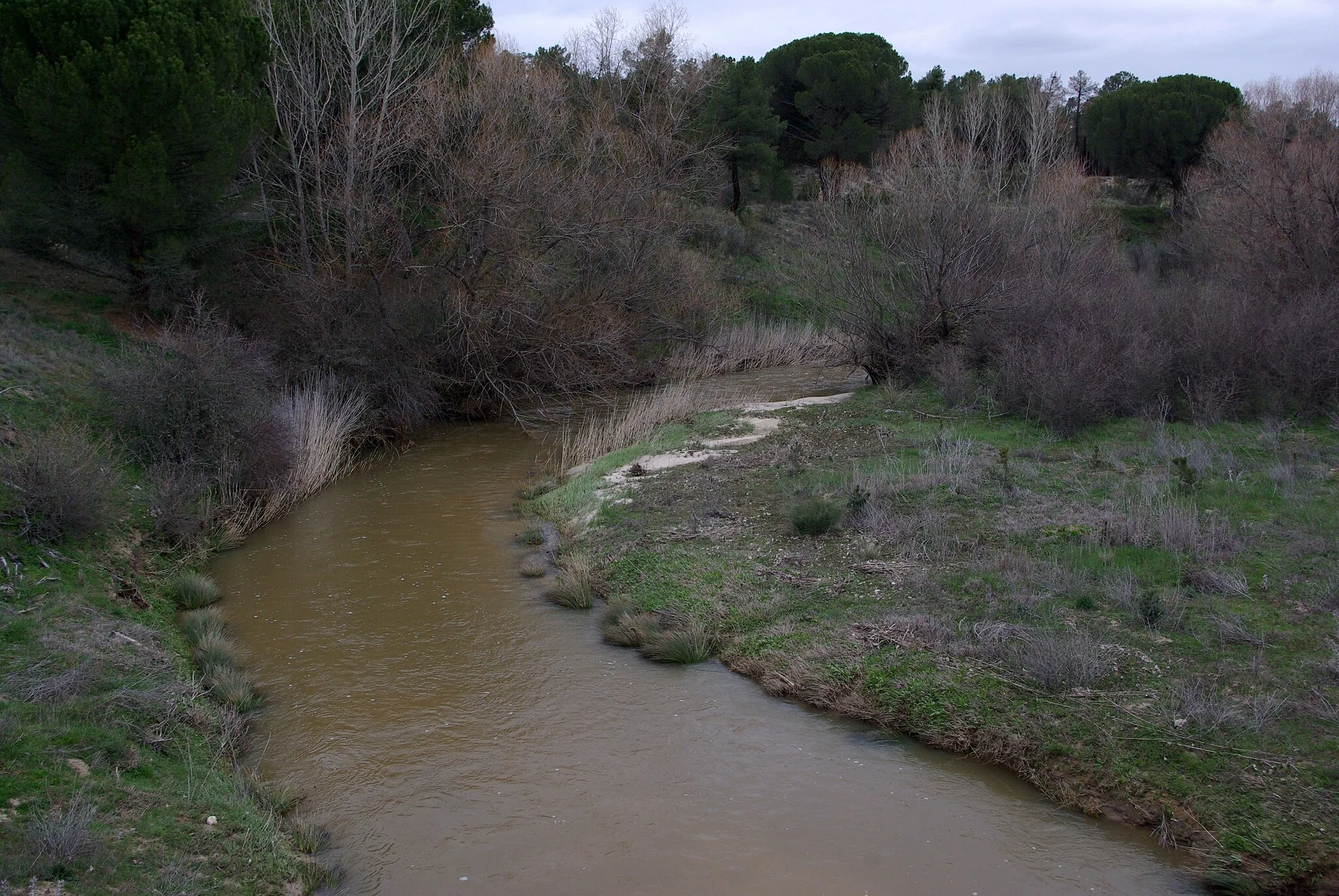 Photo showing: River Arevalillo near Nava de Arévalo (Ávila,
Spain)