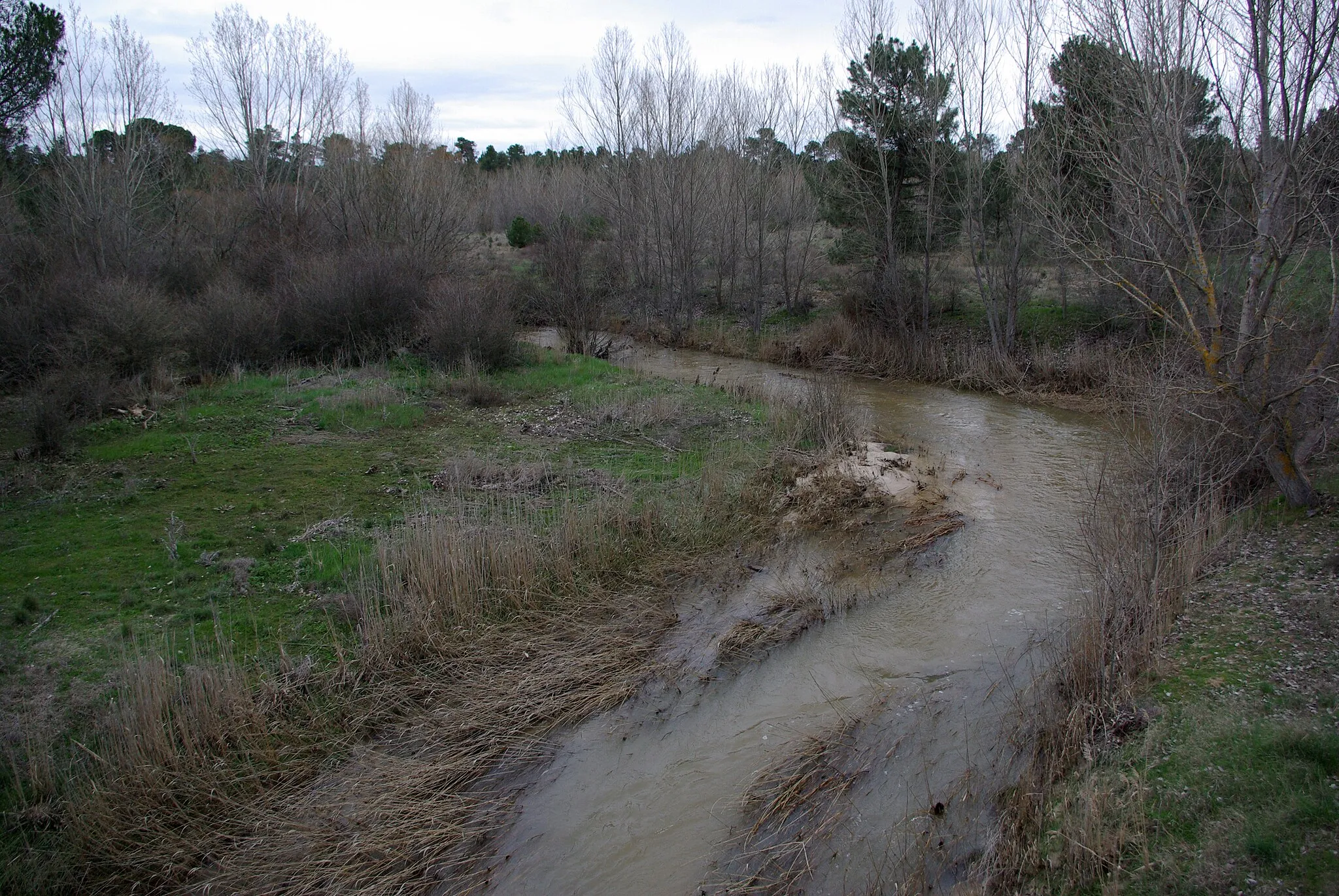 Photo showing: River Arevalillo near Nava de Arévalo (Ávila,
Spain)