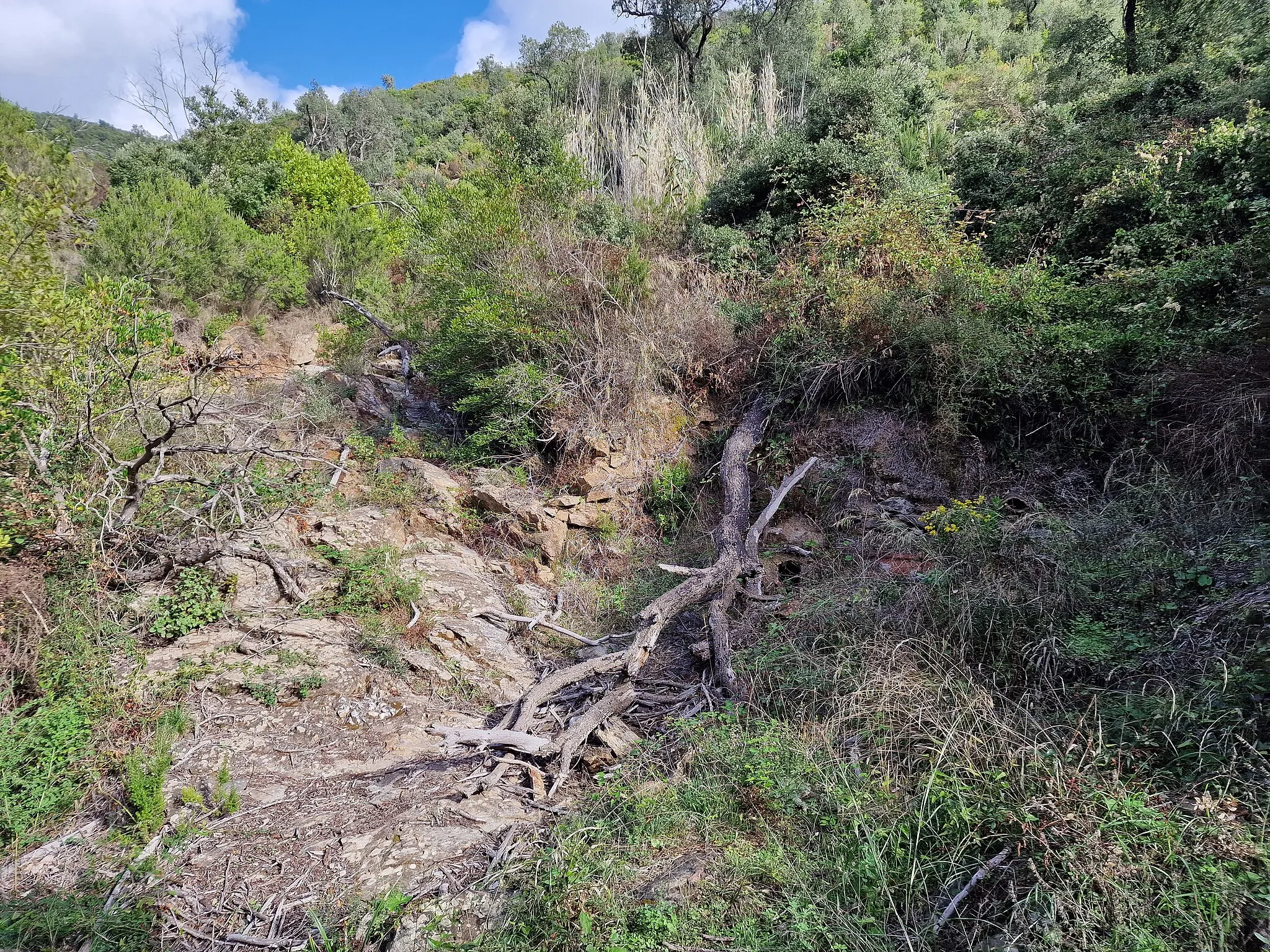 Photo showing: Font del Llorer (Palamós)