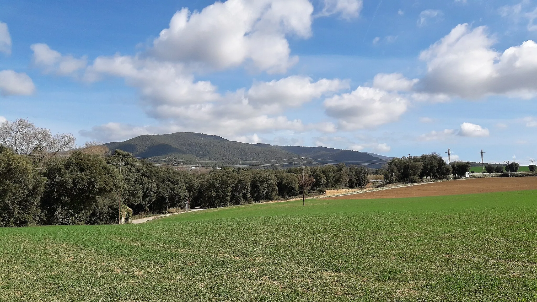 Photo showing: Turó de Santa Margarida - Vist de prop de la vil·la romana de Can Terrers