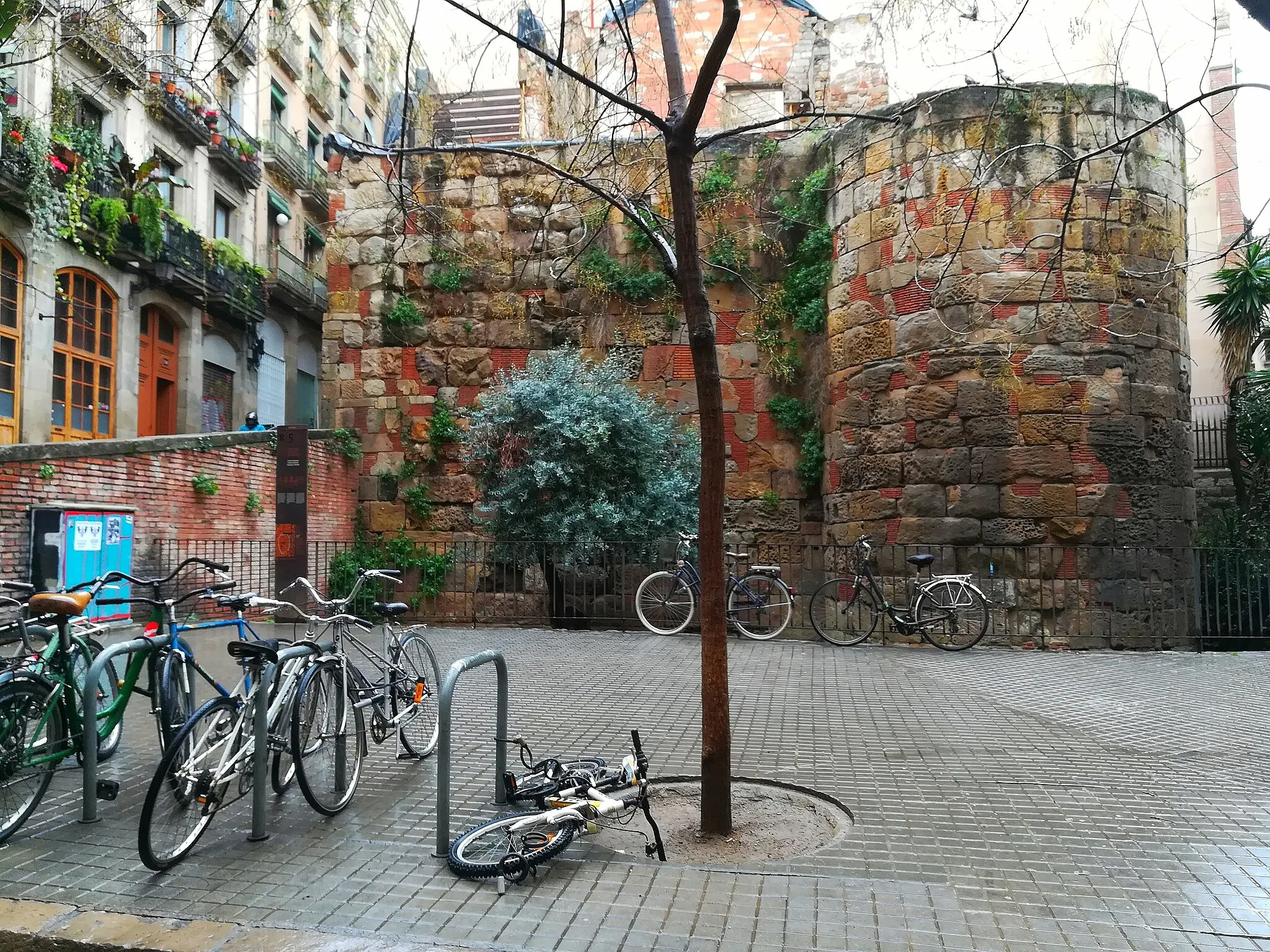 Photo showing: Muralla romana (Barcelona)