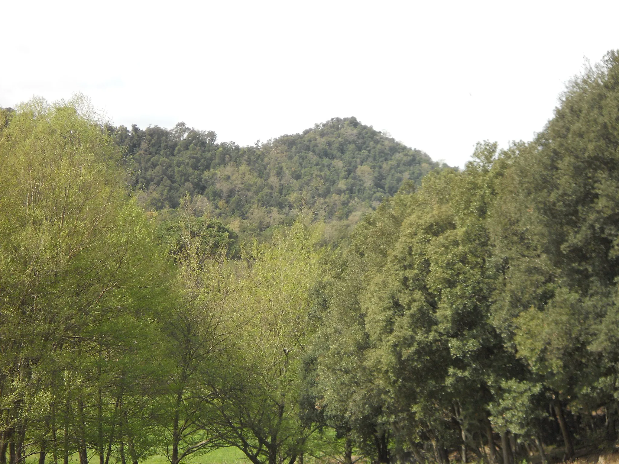 Photo showing: Cim del Puigcastell, muntanya que marca el límit entre el municipi català de Vallgorguina i l'entitat de població d'Olzinelles, a Sant Celoni.