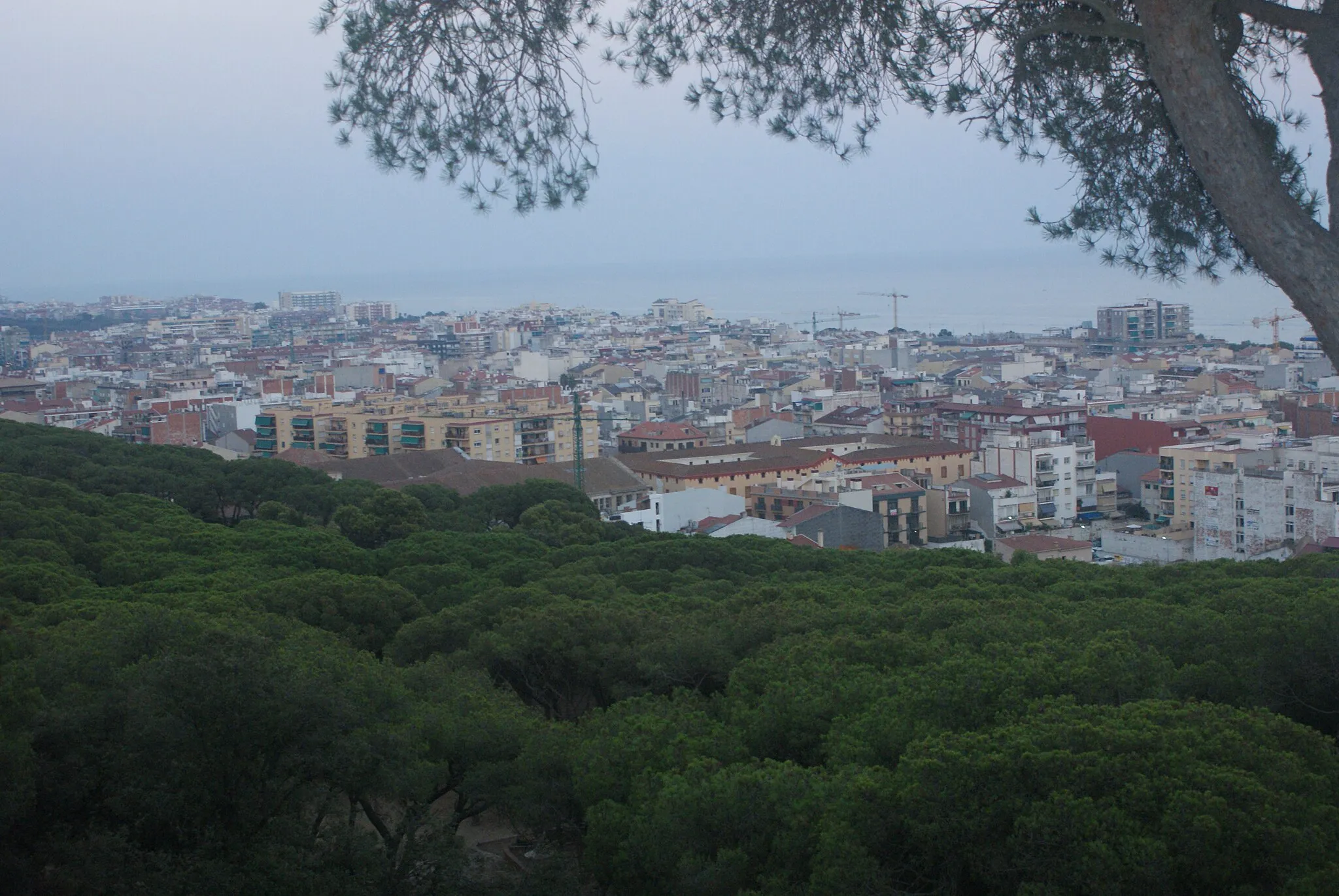 Photo showing: Calella, Barcelona, Spain