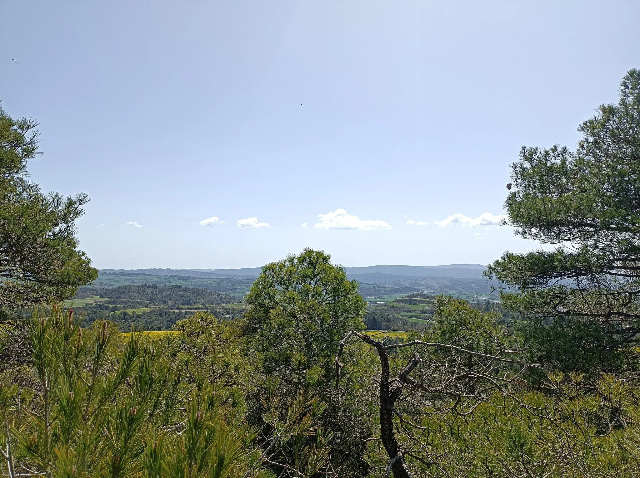 Photo showing: Vistes des del sostre comarcal de la Segarra.