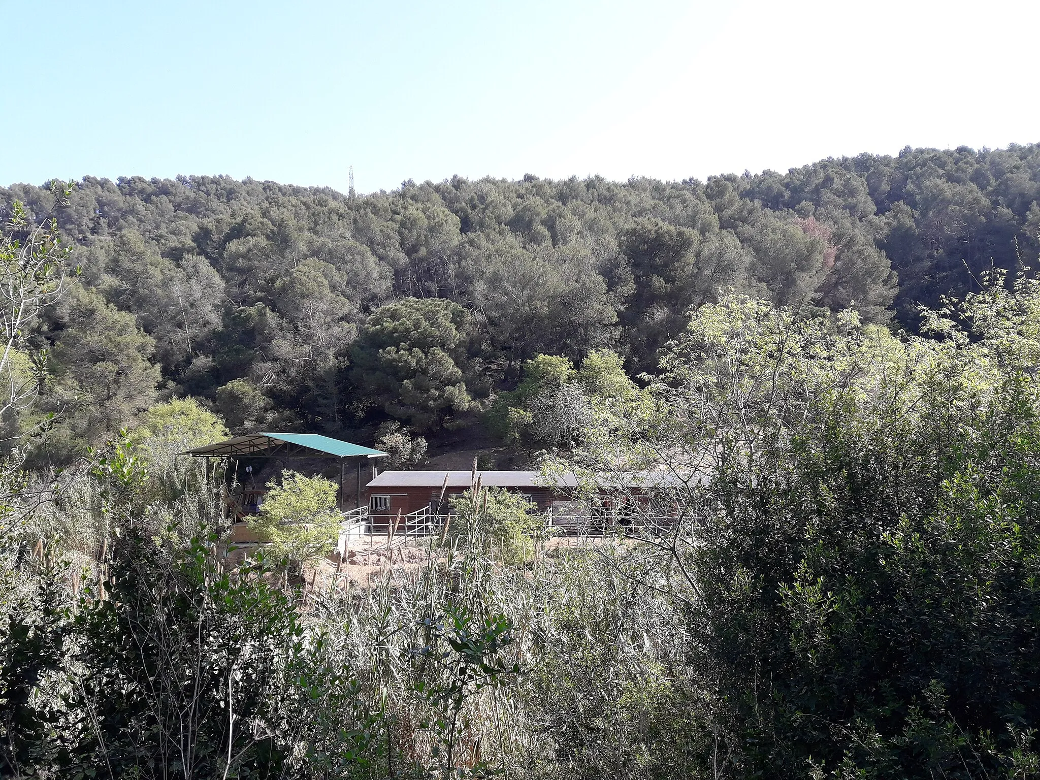 Photo showing: Hípica prop de Castellciuró, sota el camí que puja cap al coll de Can Cuiàs.