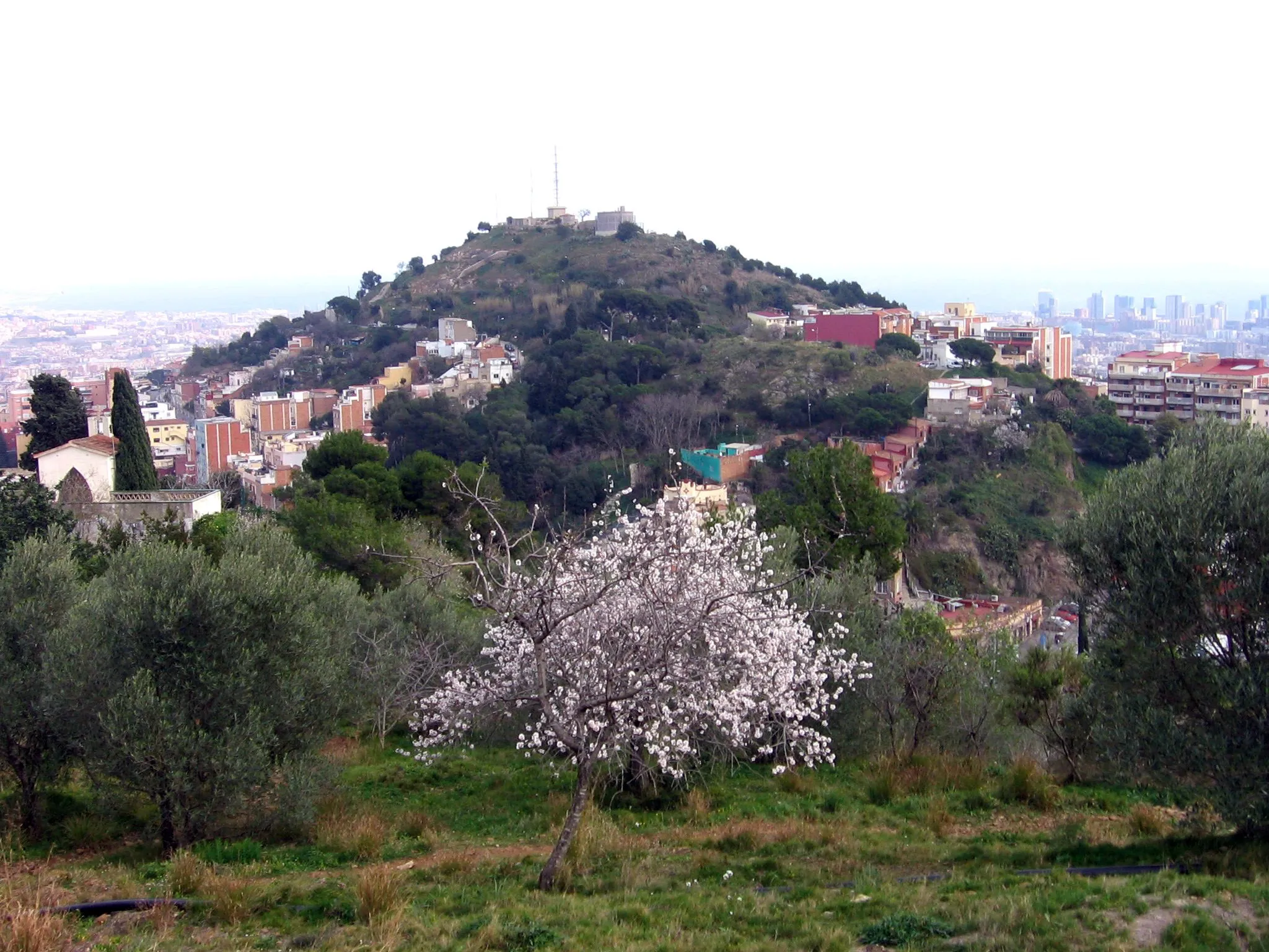 Photo showing: Turó de la Rovira.