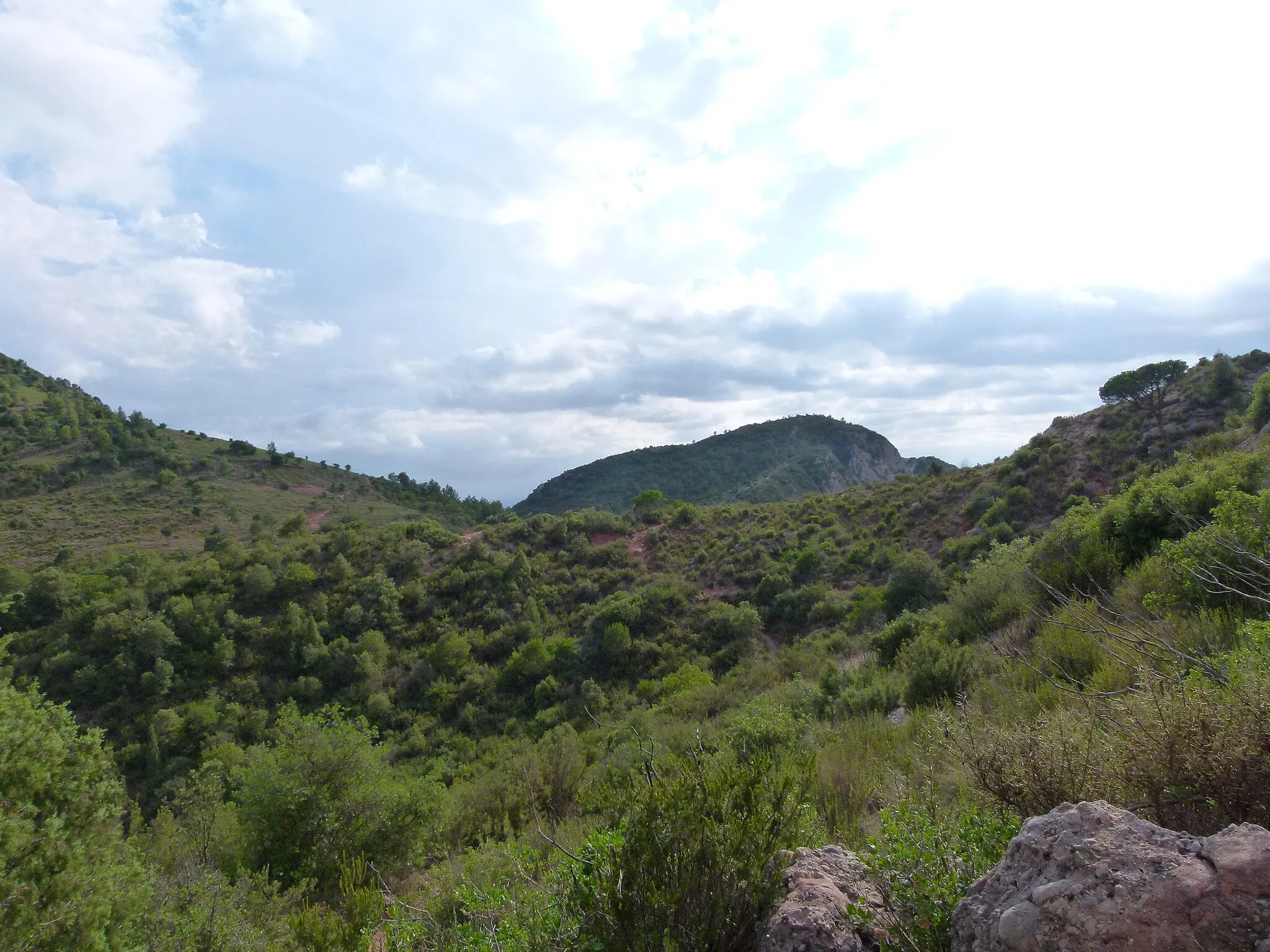 Photo showing: Turó de la Gronya