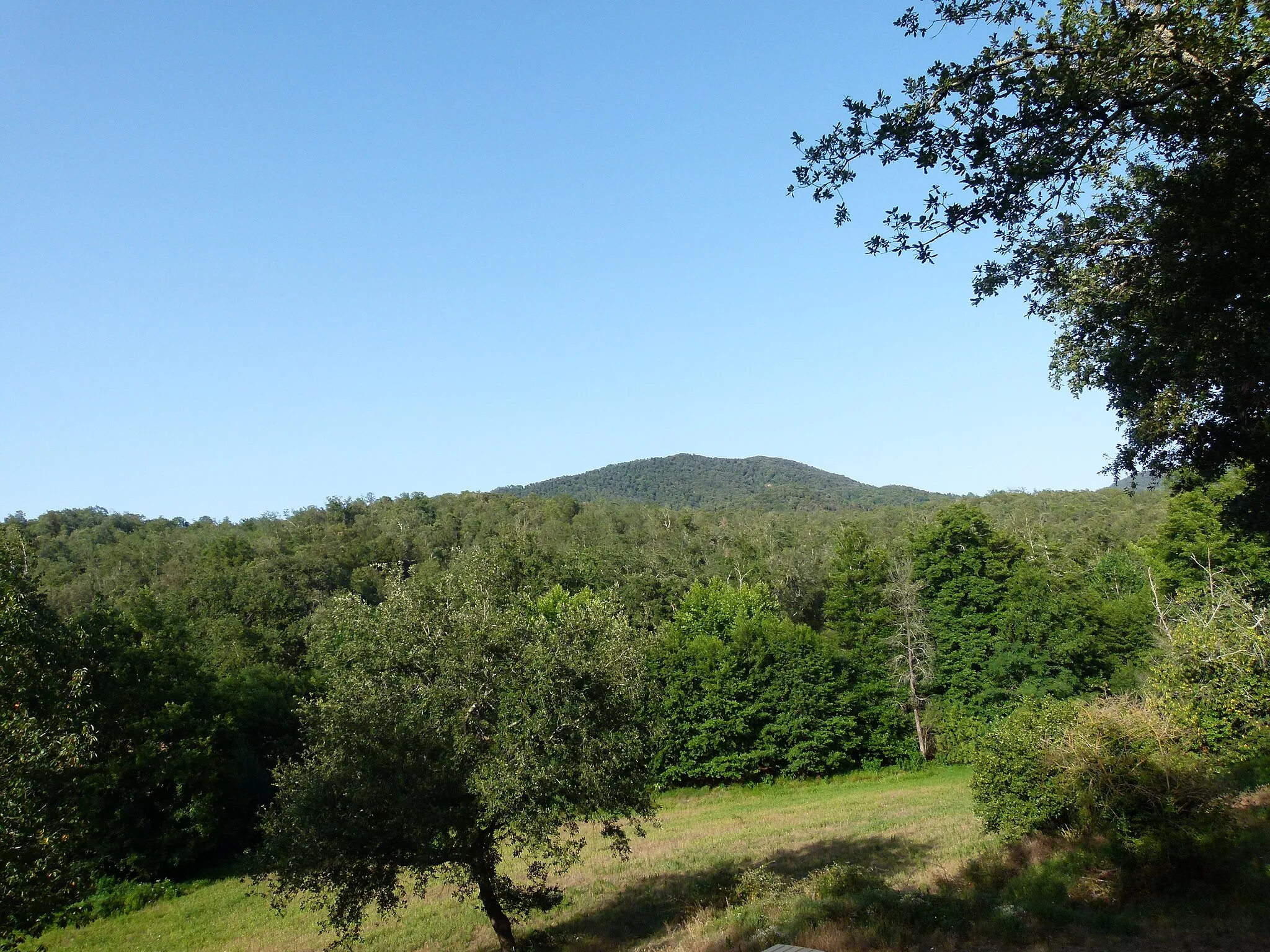 Photo showing: El Montllorer vist des d'Olzinelles