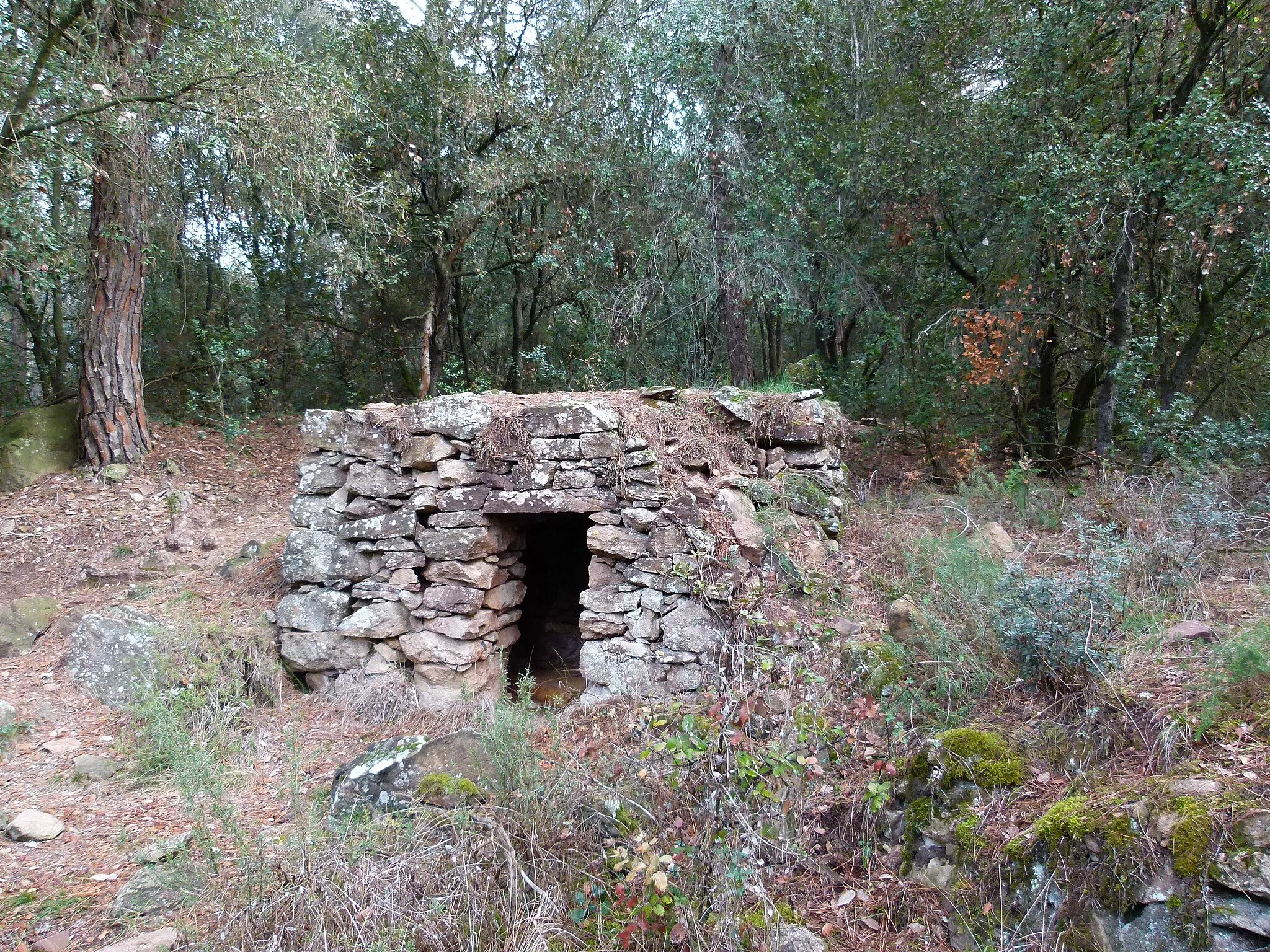 Photo showing: Barraca de l'Aragall