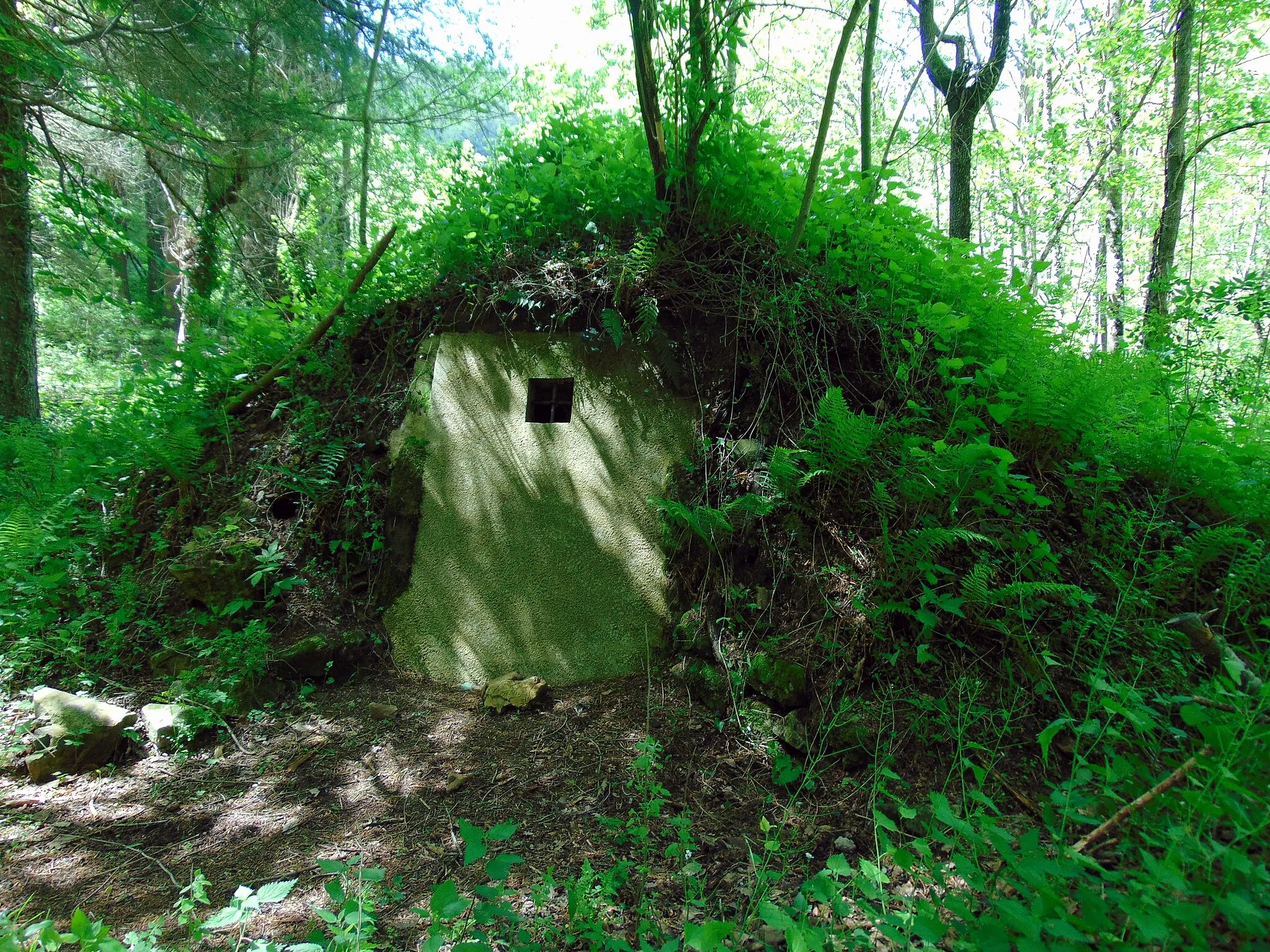 Photo showing: Balneari de la Font Picant i pou de glaç (Sant Hilari Sacalm)

This is a photo of a building indexed in the Catalan heritage register as Bé Cultural d'Interès Local (BCIL) under the reference IPA-23898.