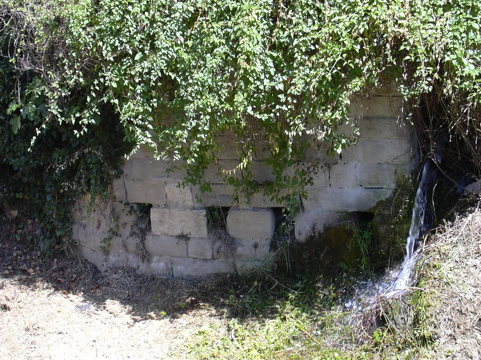 Photo showing: Restes del pont de Rabentí (Cercs)