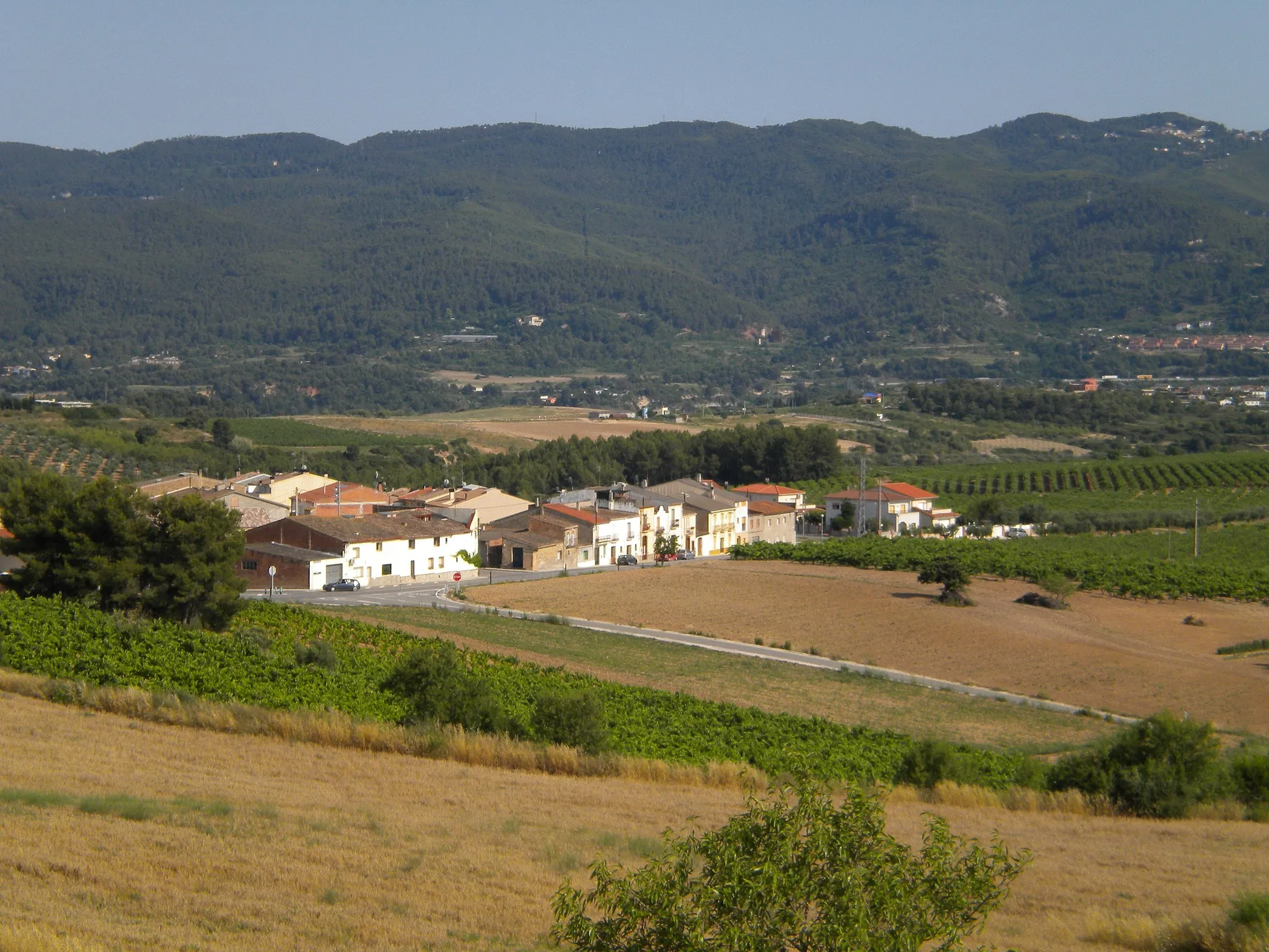 Photo showing: Vista de la vall de Sant Llorenç d'Hortons. Des del turó del Pi Gros, amb el llogaret de Sant Joan Samora en primer terme.