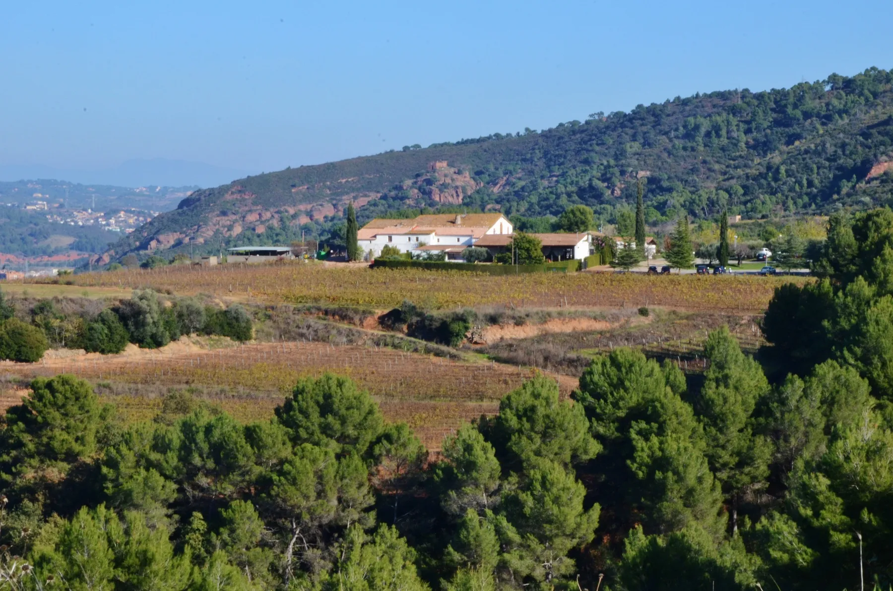 Photo showing: Sunyol (Castellví de Rosanes)