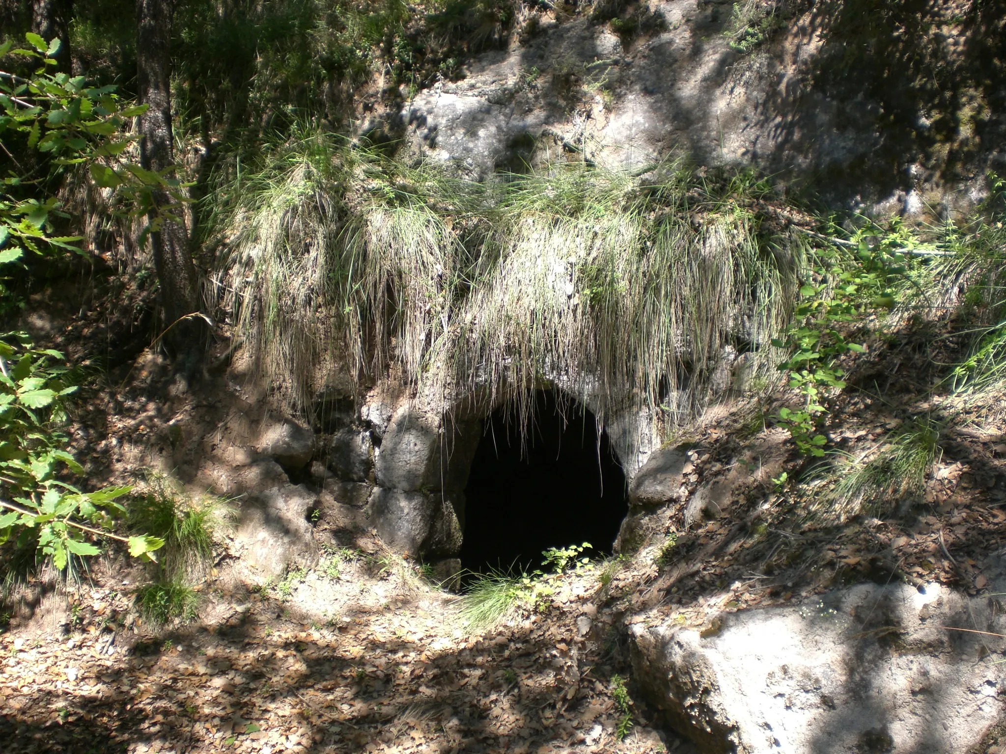 Photo showing: Bauma de l'Estrada, Santa Eulàlia de Puig-Oriol (juny 2011)