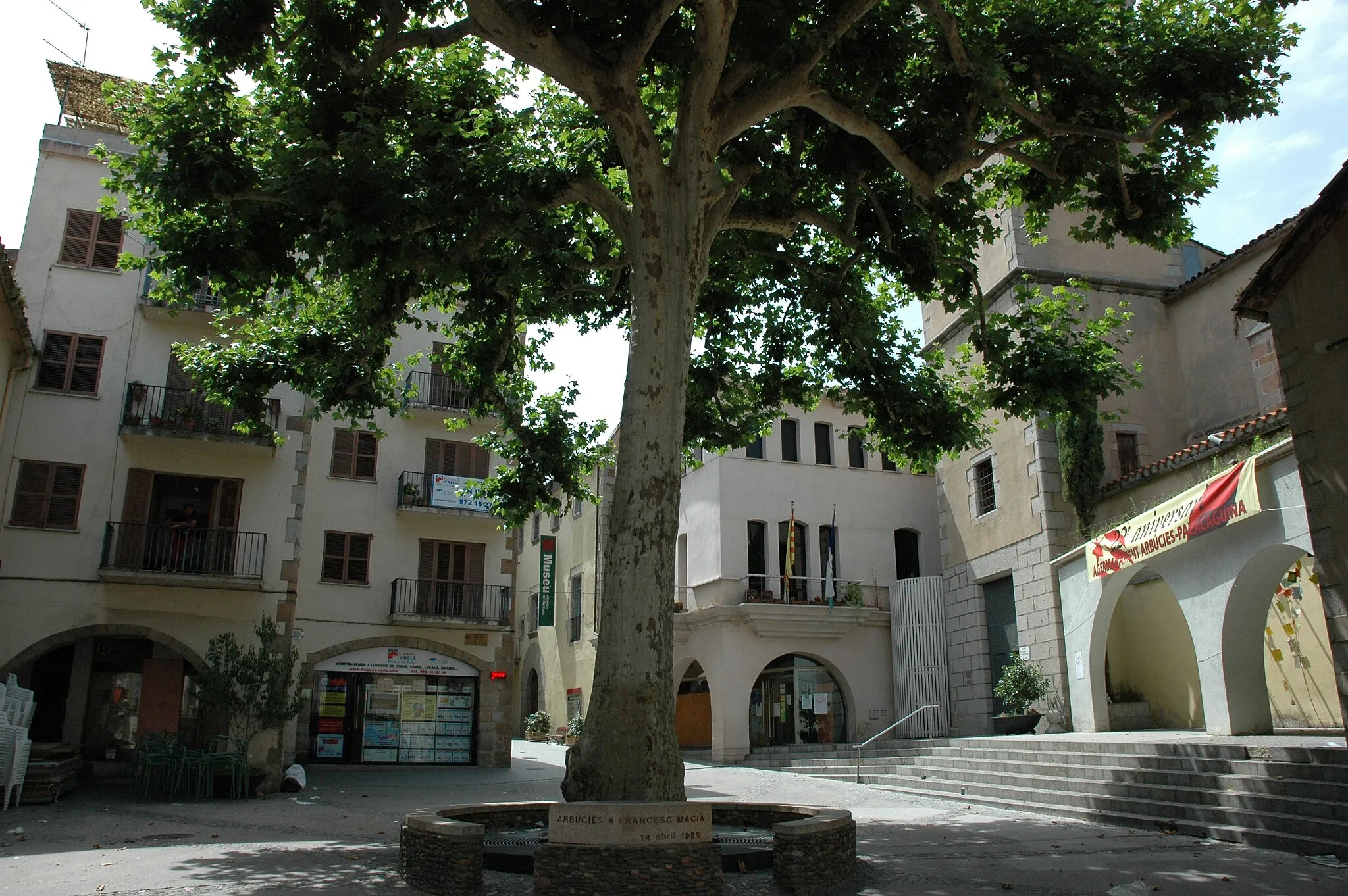 Photo showing: This is a a photo of a protected or outstanding tree in Catalonia, Spain, with id: