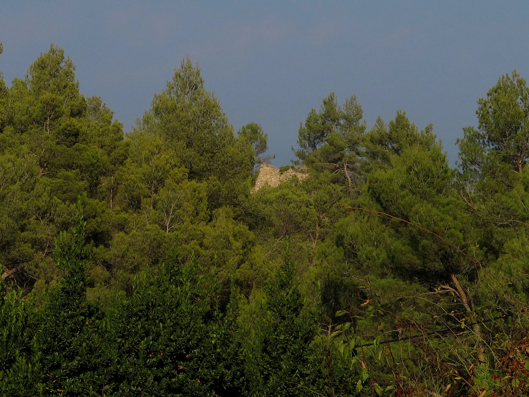 Photo showing: Castell de Maians - Castellfollit del Boix