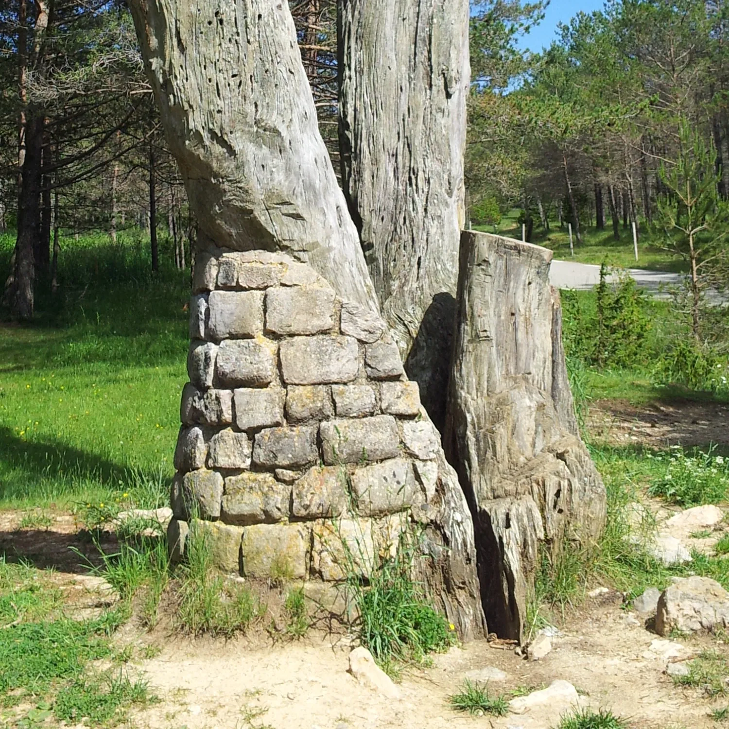 Photo showing: Bottom of Pi de les Tres Branques in June 2015