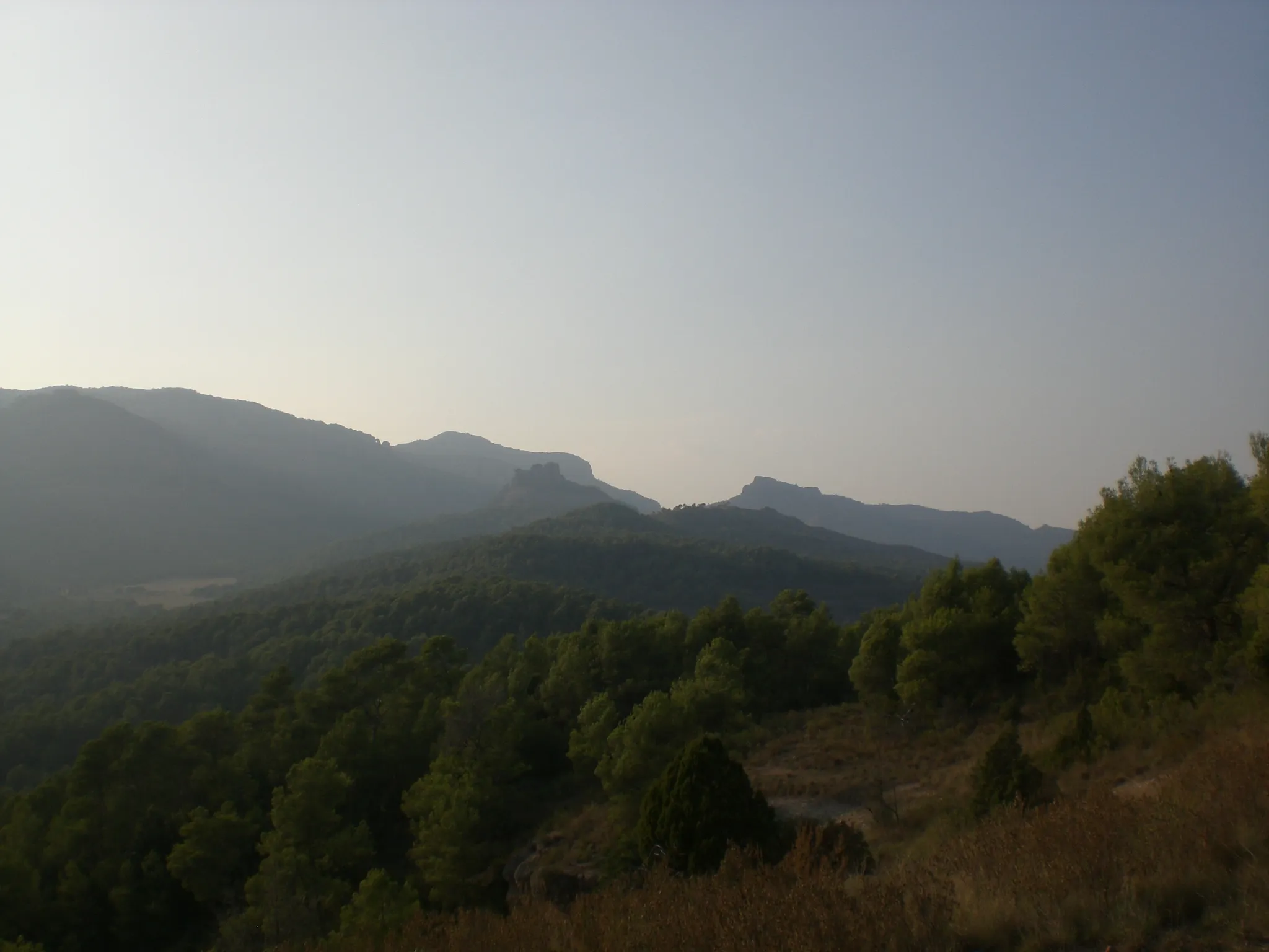 Photo showing: Vistes al NW des del Puig Rodó (setembre 2011)