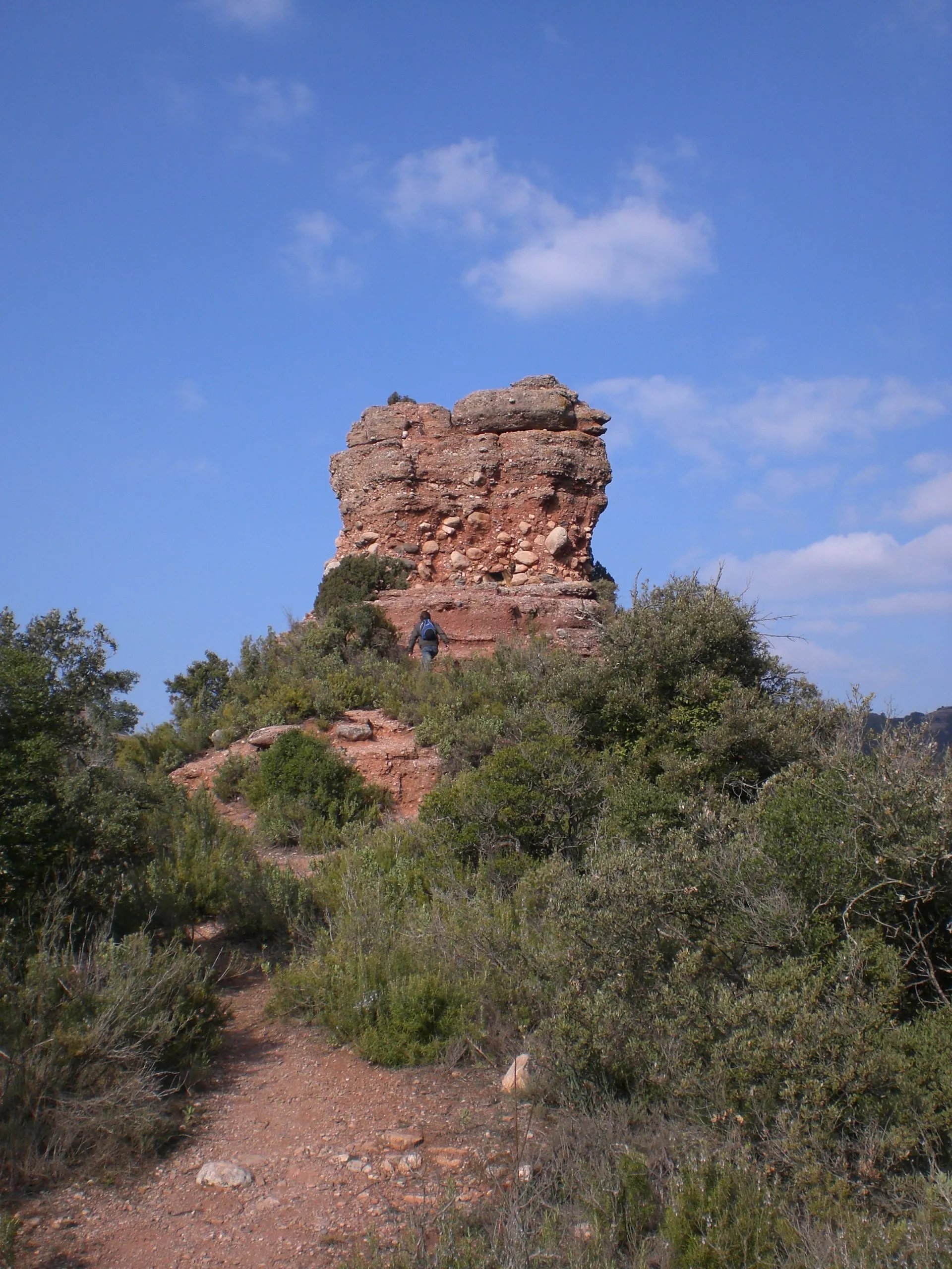 Photo showing: Turó Roig (febrer 2008)