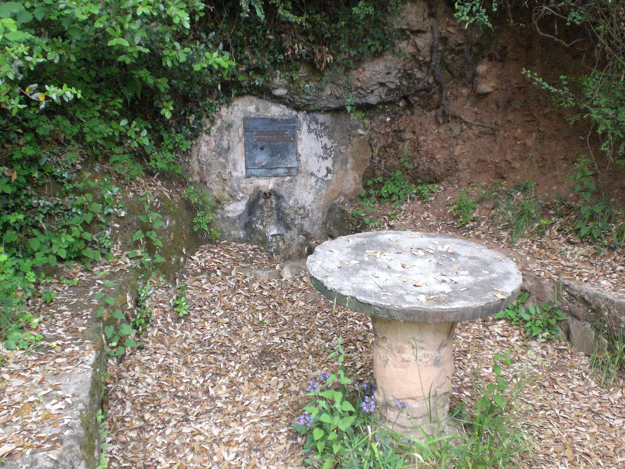 Photo showing: Font de les Cantarelles, Parc Natural de Sant Llorenç del Munt i l'Obac (juny 2012)