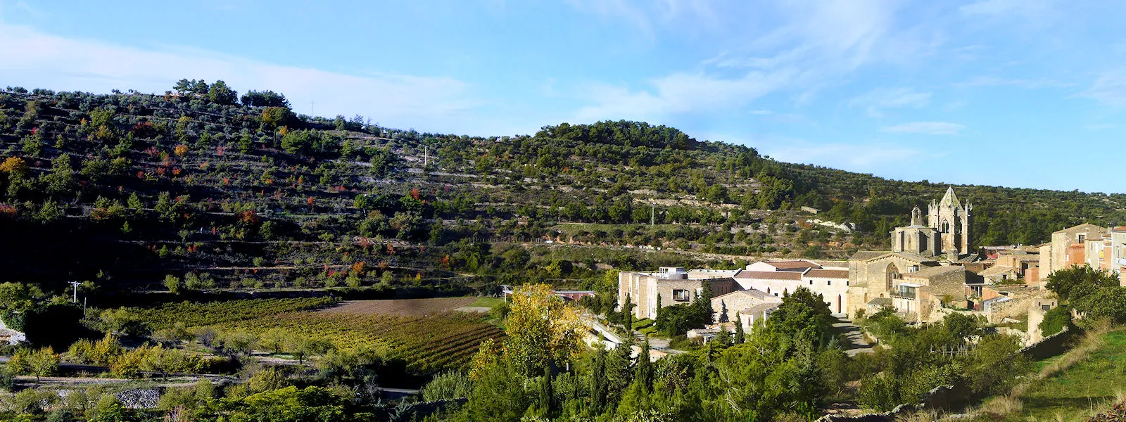 Photo showing: Monasterio de Santes Creus is a Cistercian monastery in the municipality of Aiguamúrcia, Catalonia