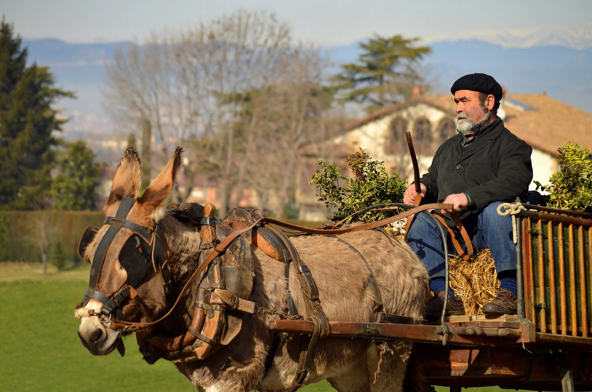 Photo showing: Festa dels Tonis de Santa Eugènia de Berga