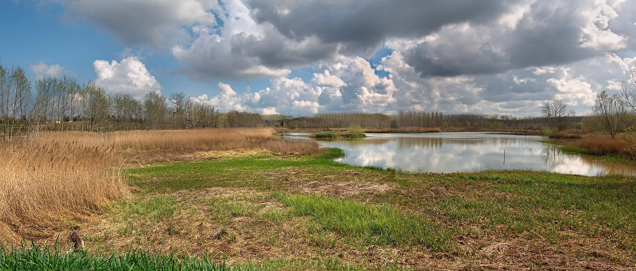 Photo showing: This is a a photo of a natural area in Catalonia, Spain, with id: