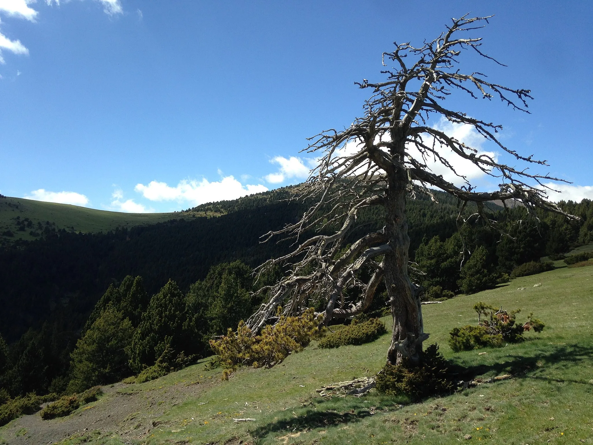 Photo showing: This is a a photo of a natural area in Catalonia, Spain, with id: