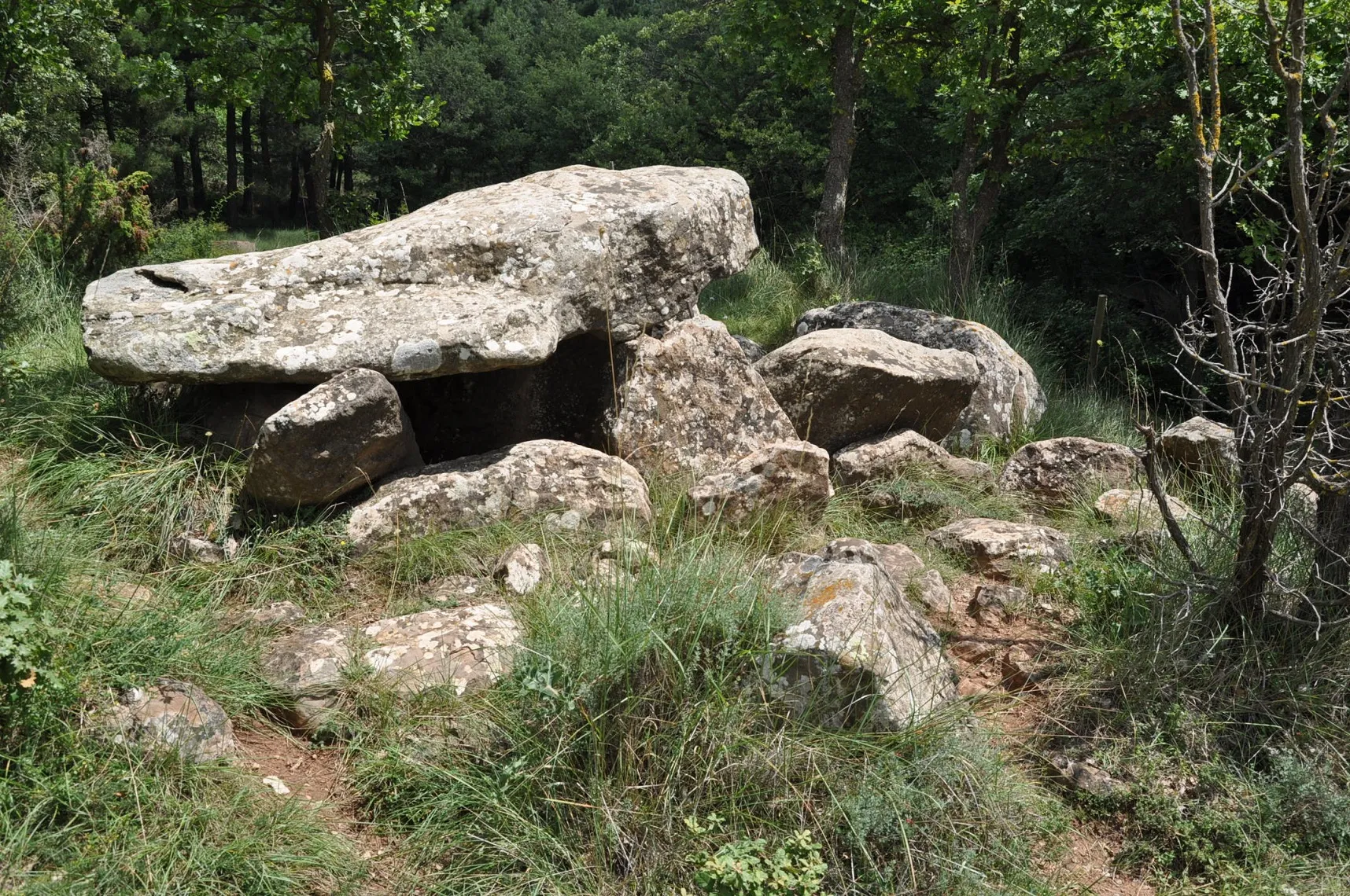 Photo showing: A megalithic tomb (dolmen) just below the summit of the Puig Rodó (1056 m, Moià, Comarca de Bages, Catalonia, Spain).