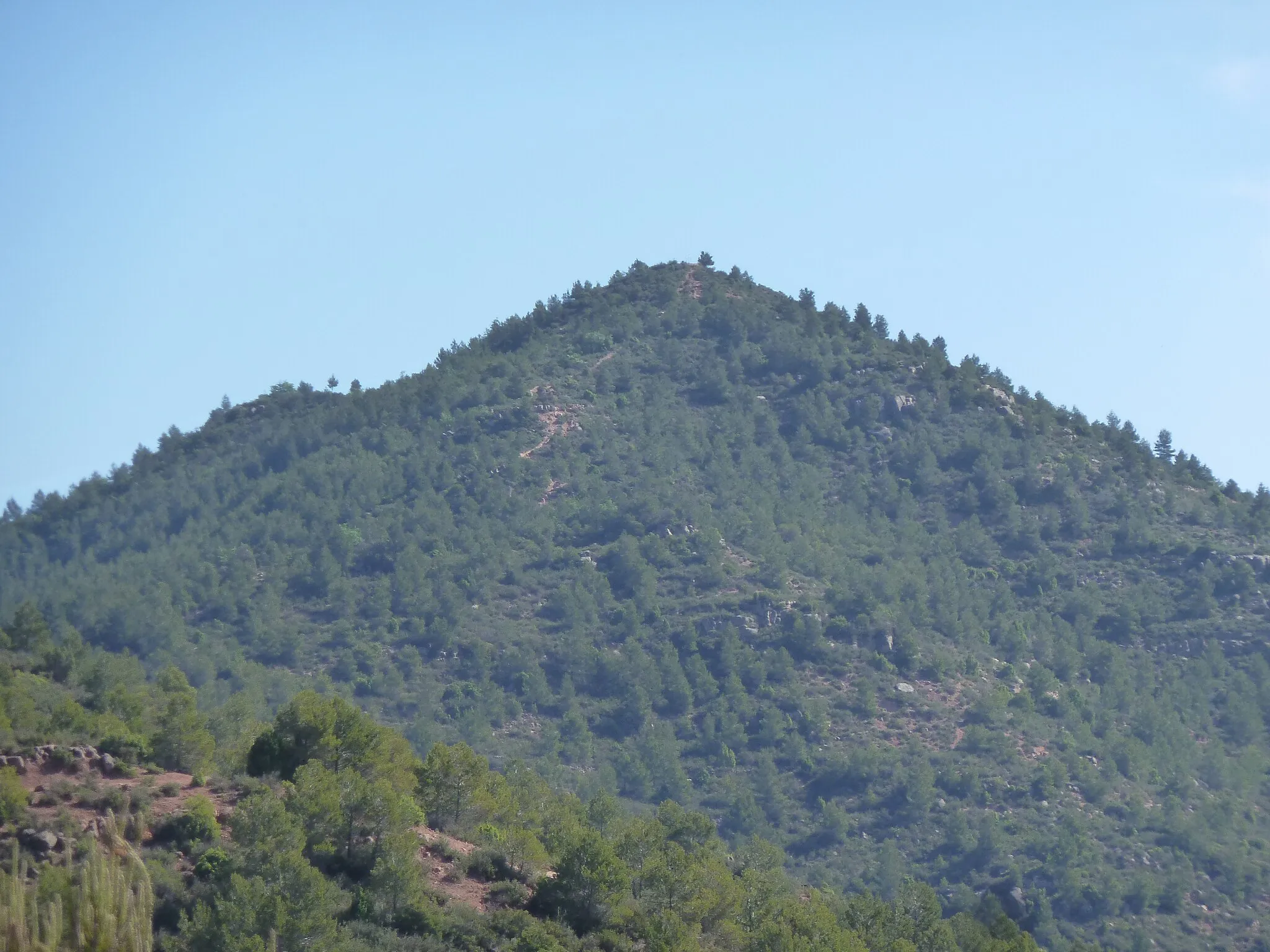 Photo showing: Vista de la muntanya del Turó de les Tres Creus