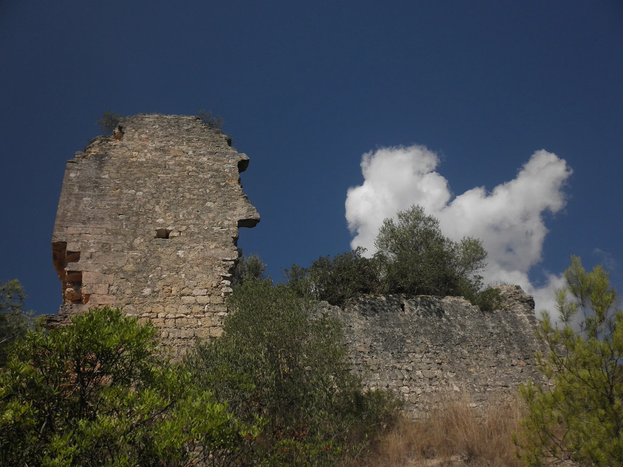 Photo showing: Castell de Montoliu (La Riera de Gaià)