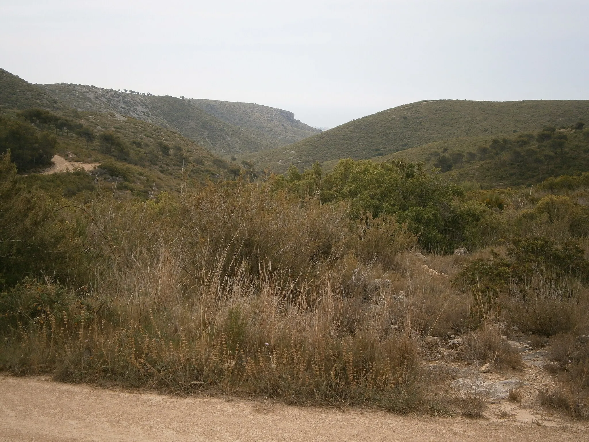 Photo showing: Torrent de les Quatre Boques (Baix penedès). Vista cap al sud des del fondo del Merino. A l'esquerra s'observa la característica Roca Aguilera.