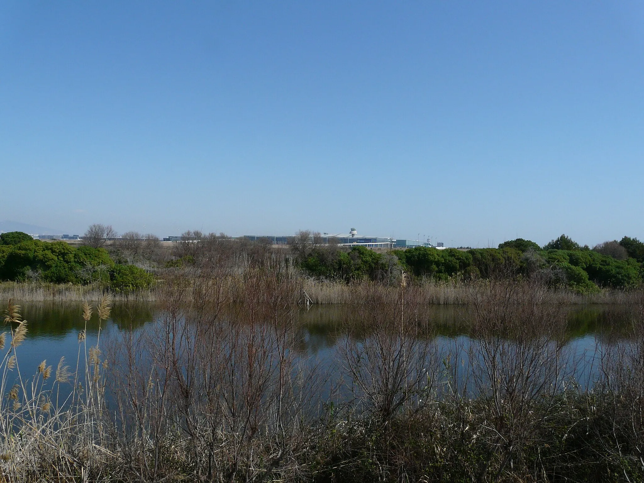 Photo showing: This is a a photo of a wetland in Catalonia, Spain, with id: