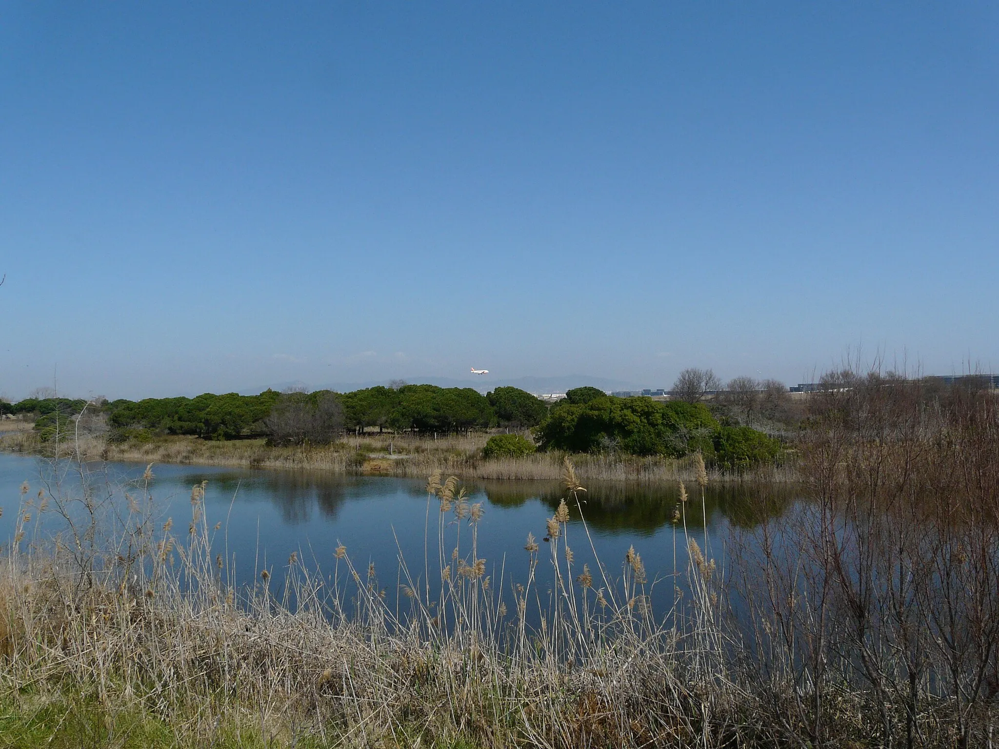 Photo showing: This is a a photo of a wetland in Catalonia, Spain, with id: