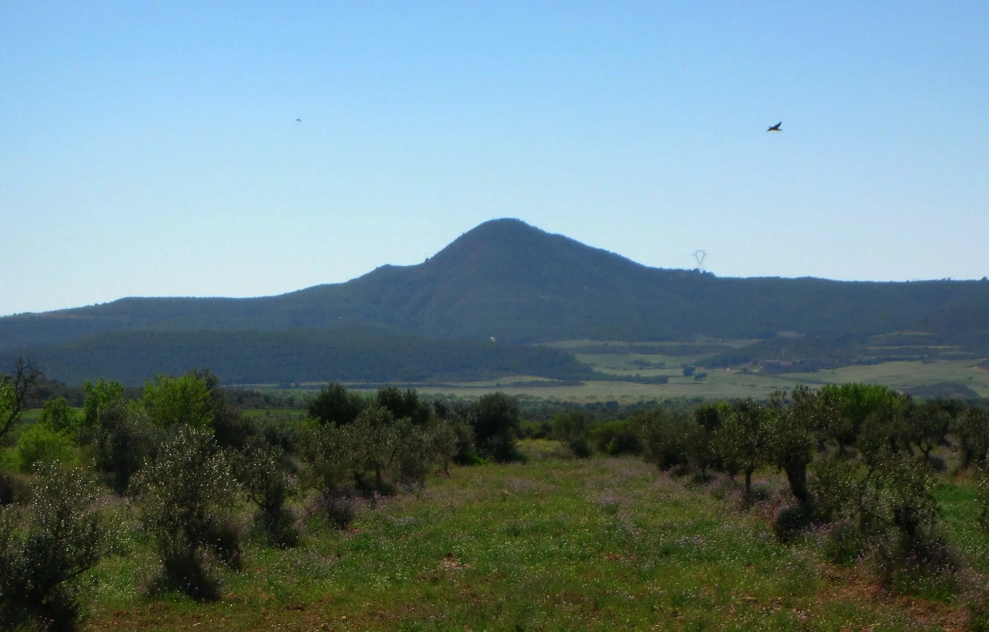 Photo showing: Montmeneu, a mountain south of Serós and west of Maials