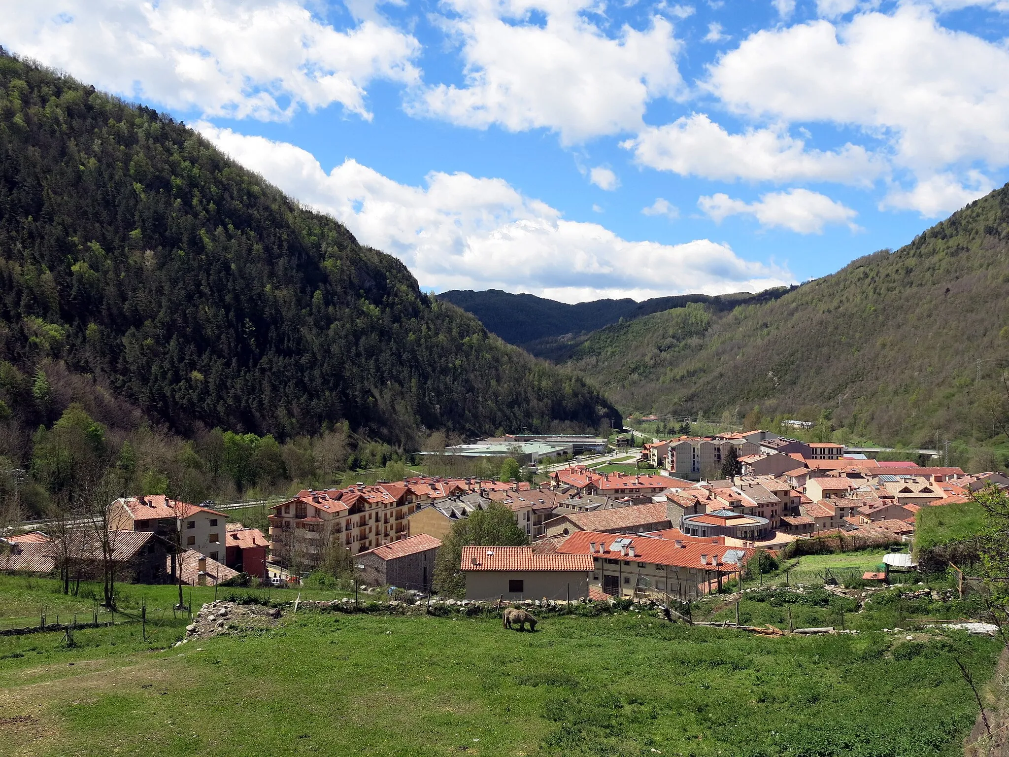 Photo showing: Camprodon des del puig de les Relíquies