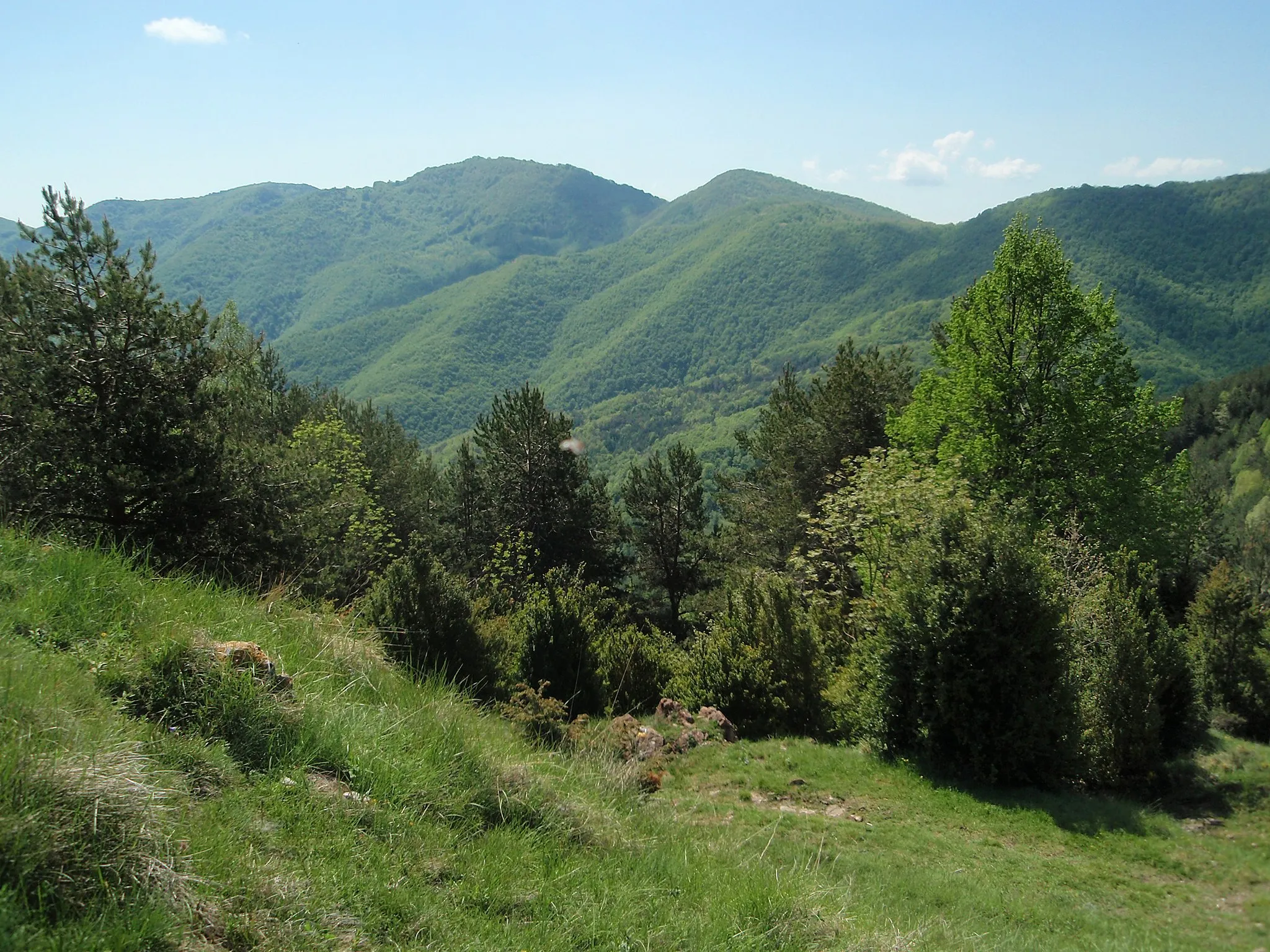 Photo showing: Puig Ou seen from La Creueta pas (N.W.). Alta Garrotxa, Catalonia.