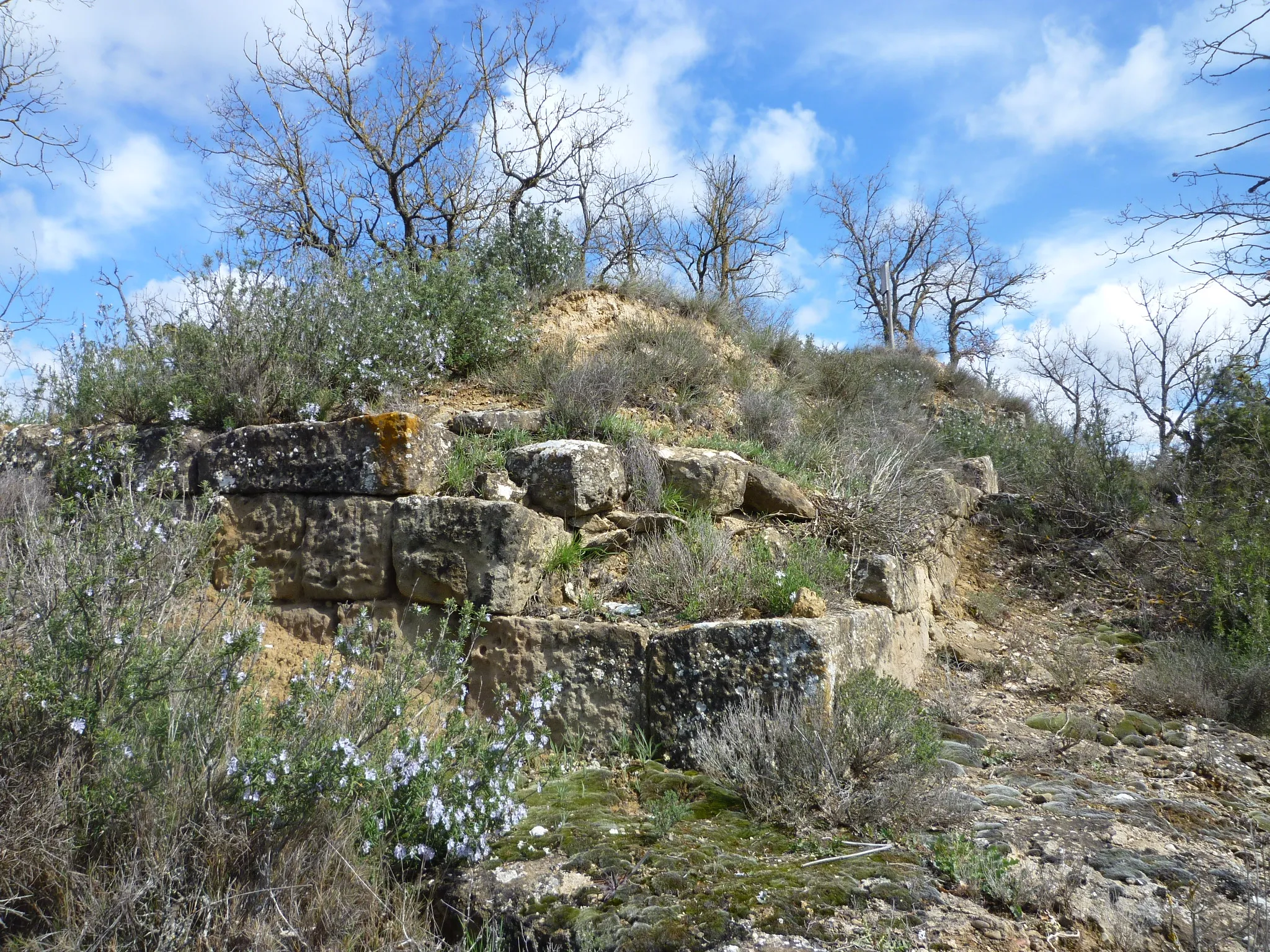 Photo showing: Castell de Bellera (Torà): edificació de llevant