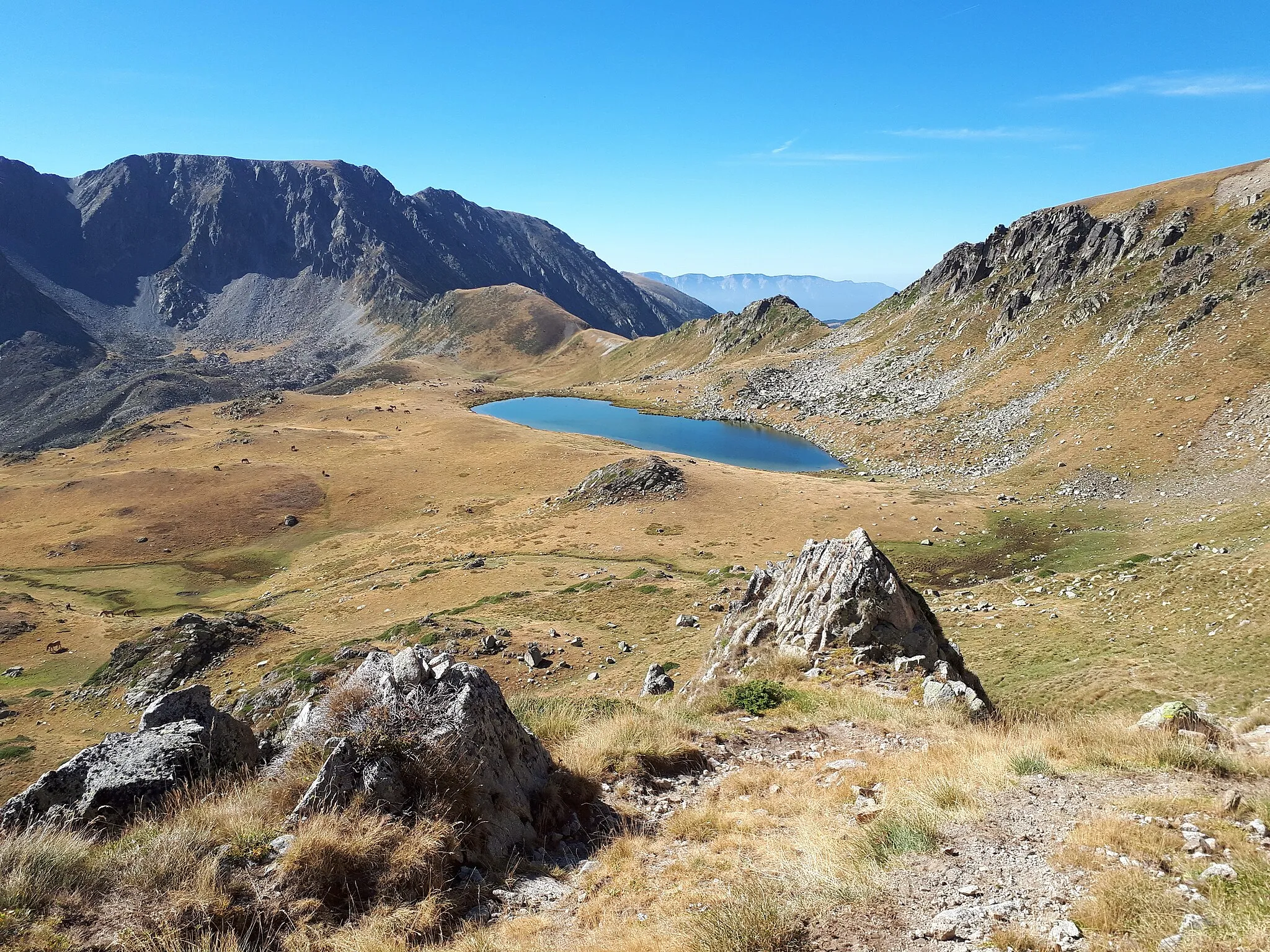 Photo showing: The lake, at an altitude of about 2560 metres, is the source of the Ribera de Campcardos river. That river runs eastwards down the deep, glaciated Campcardos valley, and its waters run into the el Segre river near Puigcerdà.
The col beyond the lake is the Portella Blanca d'Andorra, where the frontiers of France, Spain and Andorra meet.
The peak on the left is the Pic de Camp Colomer (2869 metres).
This area lies within the Mont-Louis - Andorra granite massif. That granite pluton is of Hercynian age (about 300Ma).

The valley serves as upland summer pasture. A herd of horses can be seen grazing near the lake.