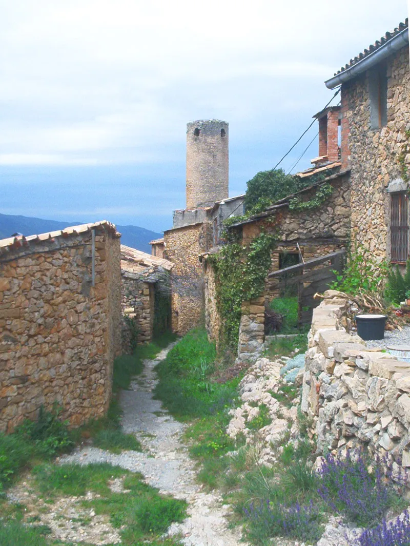 Photo showing: Carrer i torre d'Alsamora (Pallars Jussà)