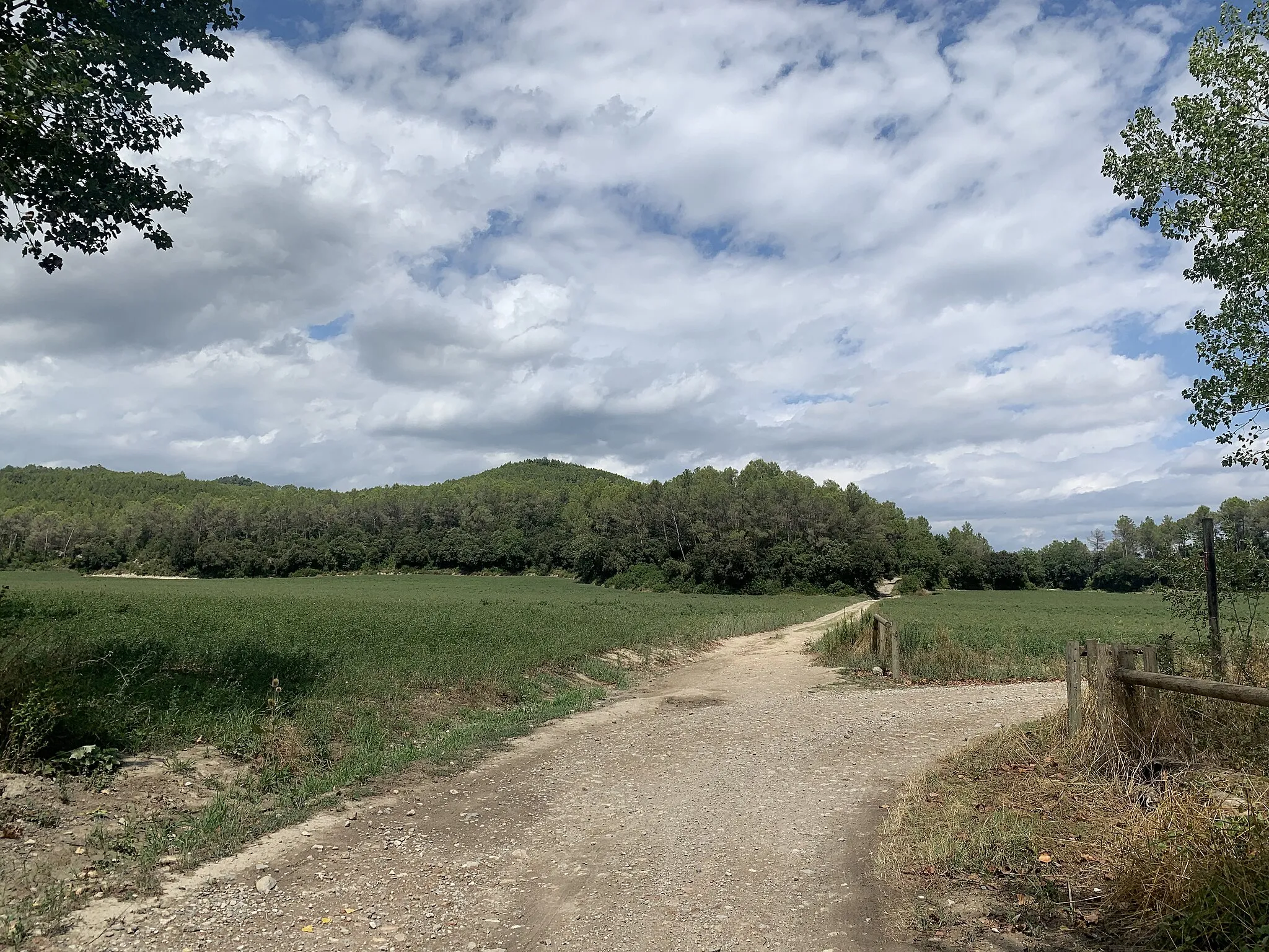 Photo showing: Porqueres, Puig Clarà