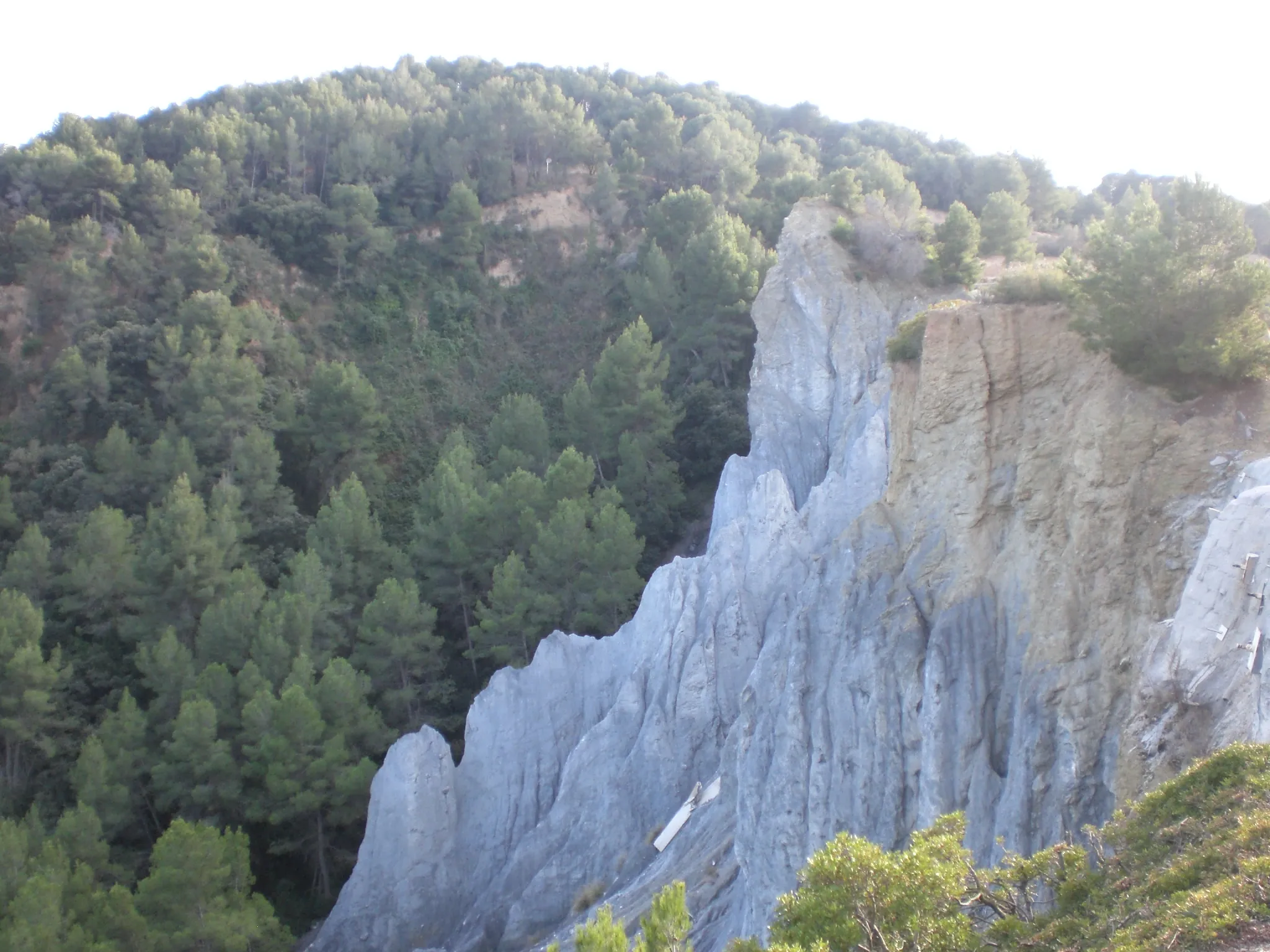 Photo showing: Ribes Blaves (febrer 2011)