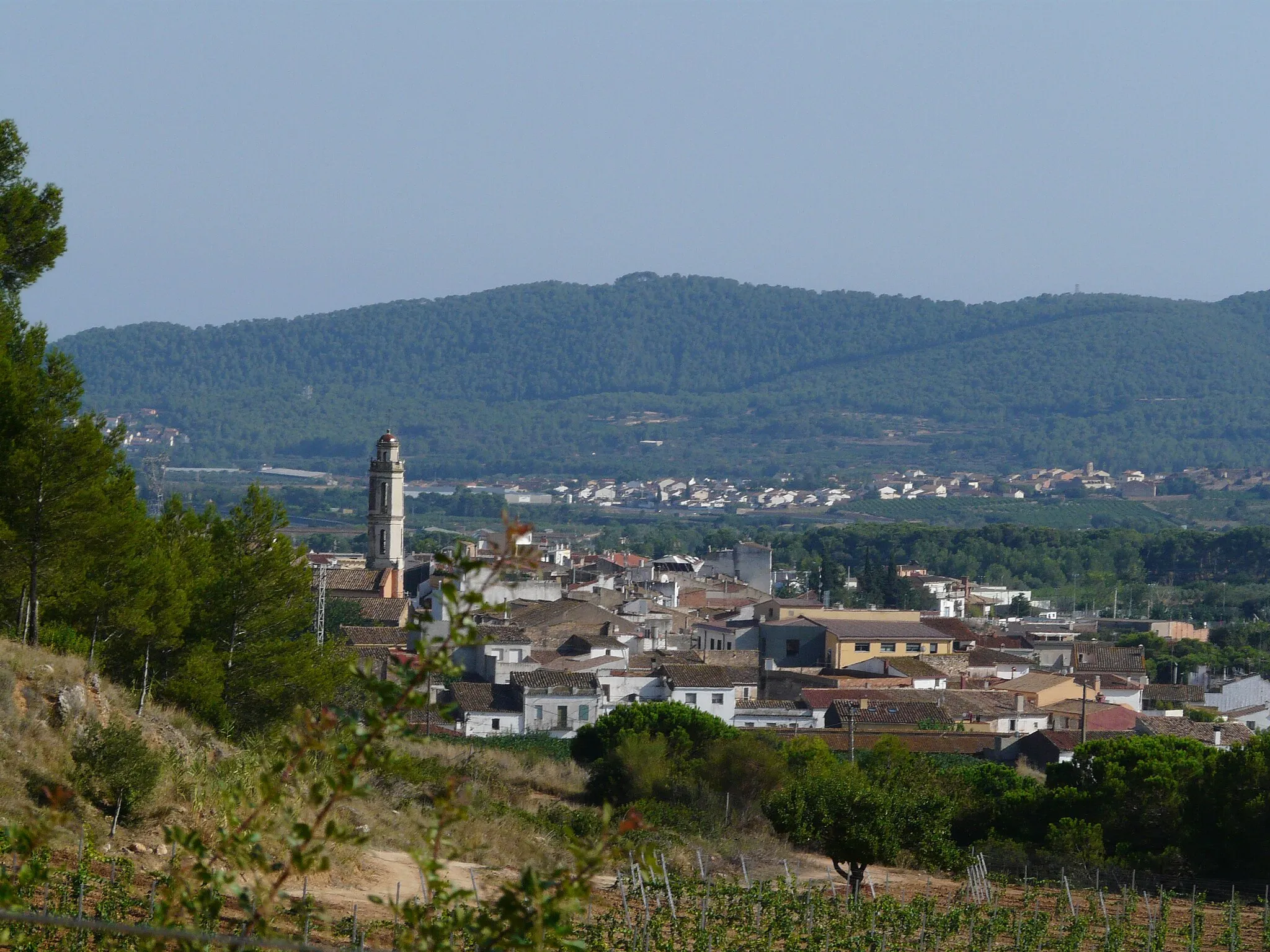 Photo showing: Església parroquial de Santa Maria. C. Major (La Bisbal del Penedès).