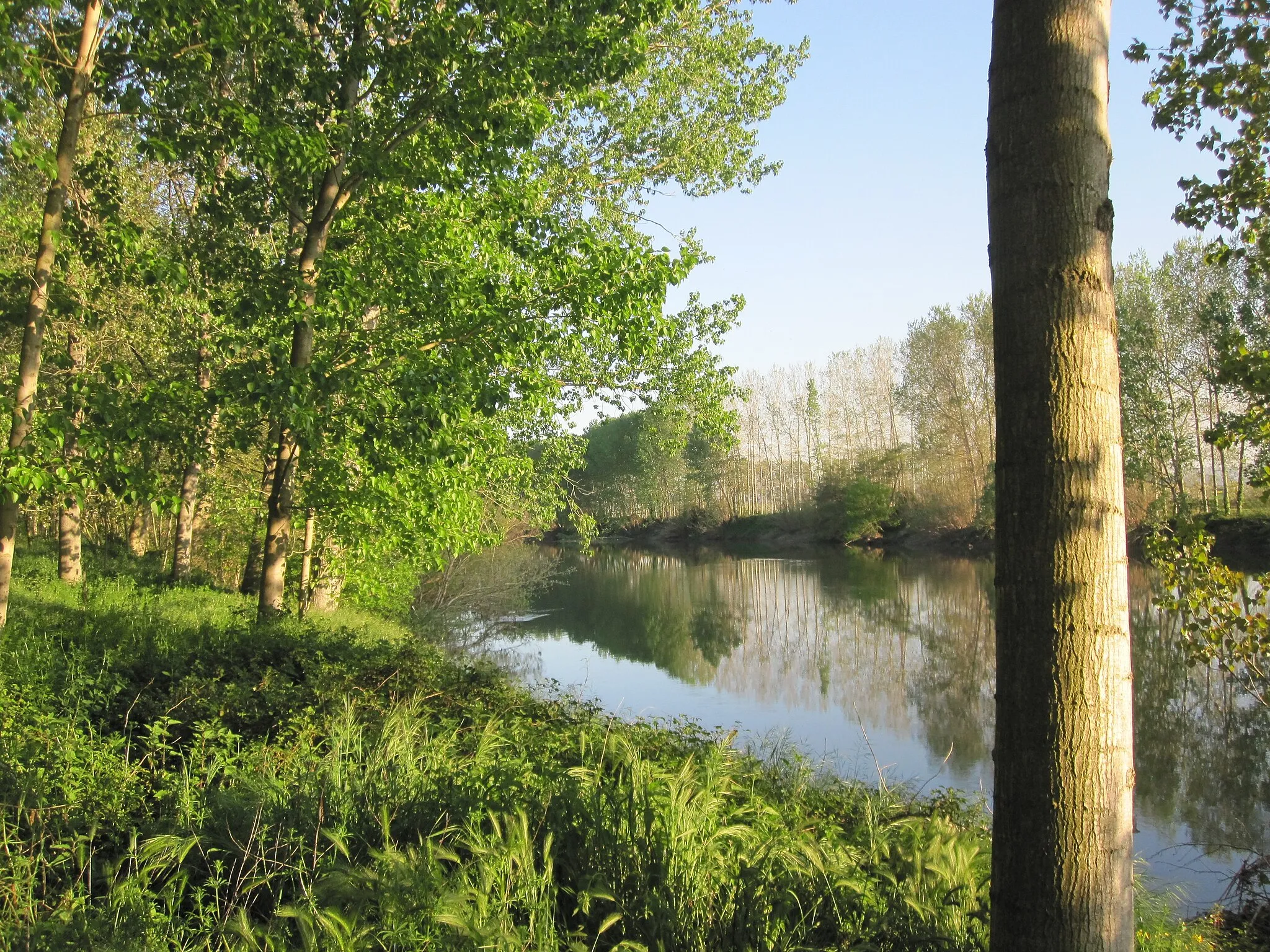 Photo showing: El riu Ter al seu pas per Verges