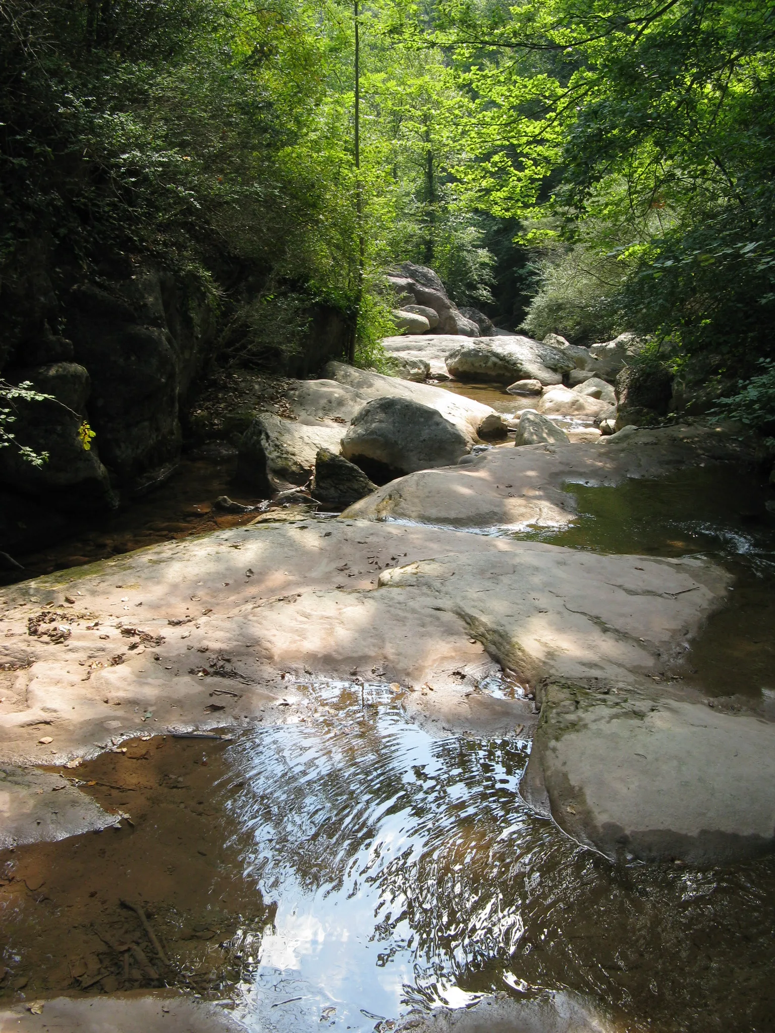 Photo showing: Oberlauf Fluvia bei San Privat unterhalb der Wasserfälle "Salt de Salent"