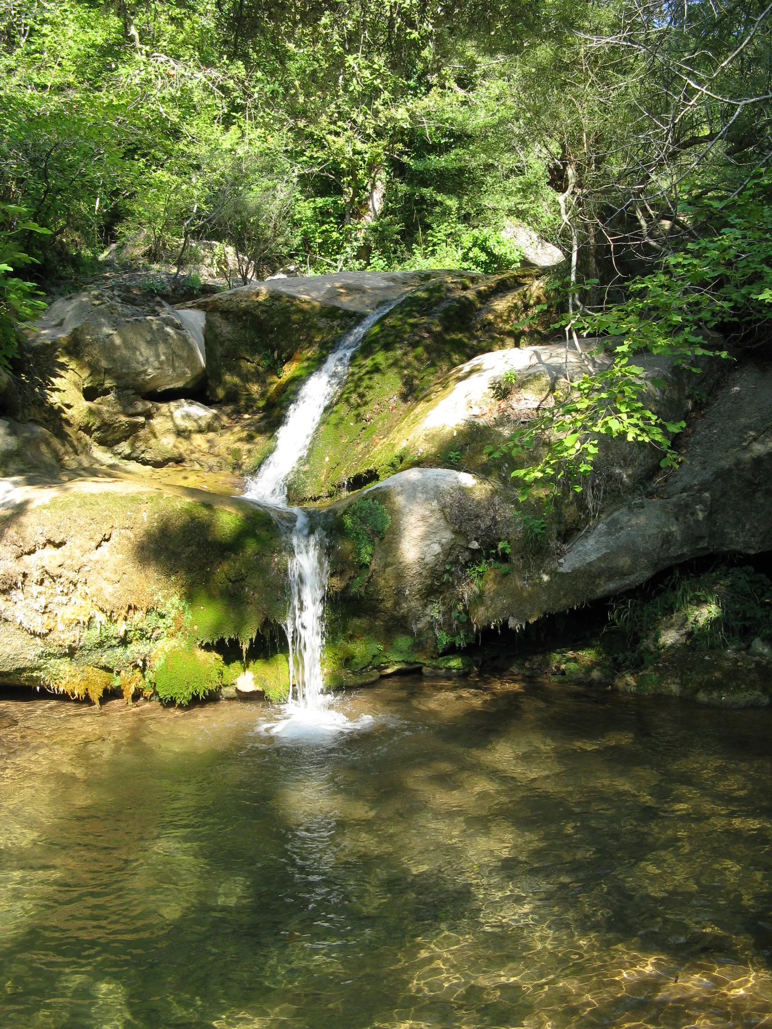 Photo showing: Oberlauf Fluvia bei San Privat unterhalb der Wasserfälle "Salt de Salent" (kleiner See)